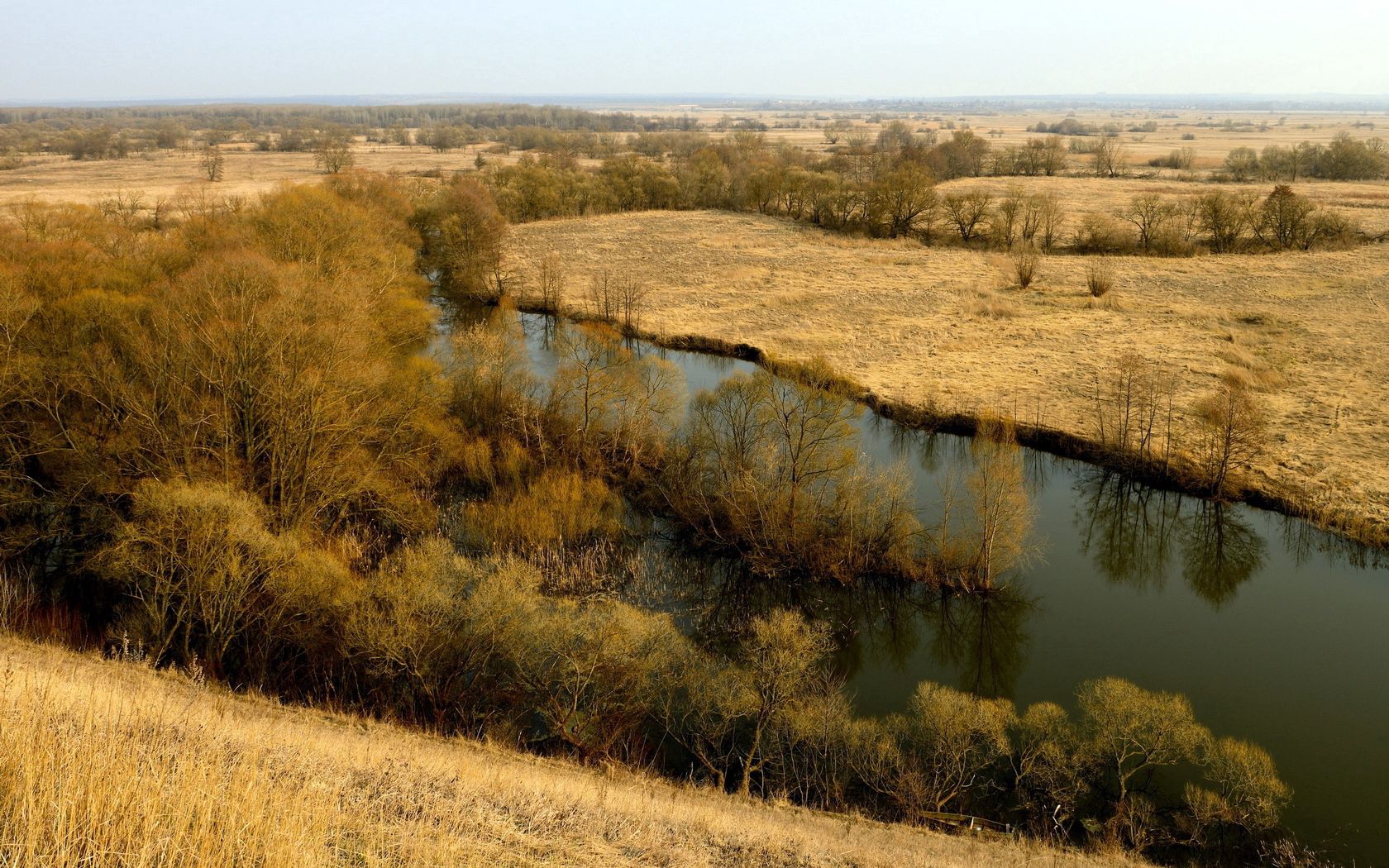 nature, rivers, fields, autumn, russia, day