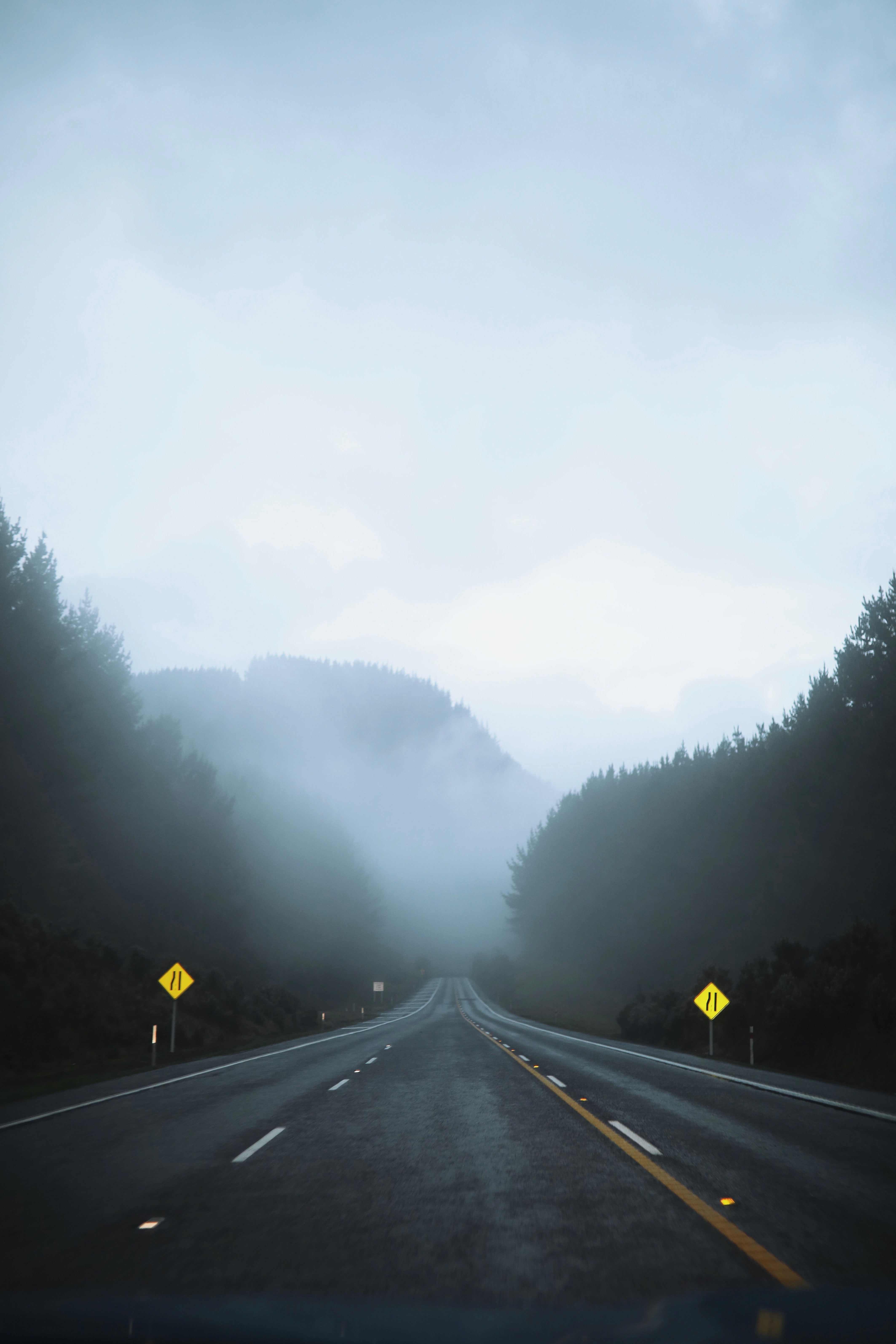 movement, road, nature, fog, traffic, asphalt