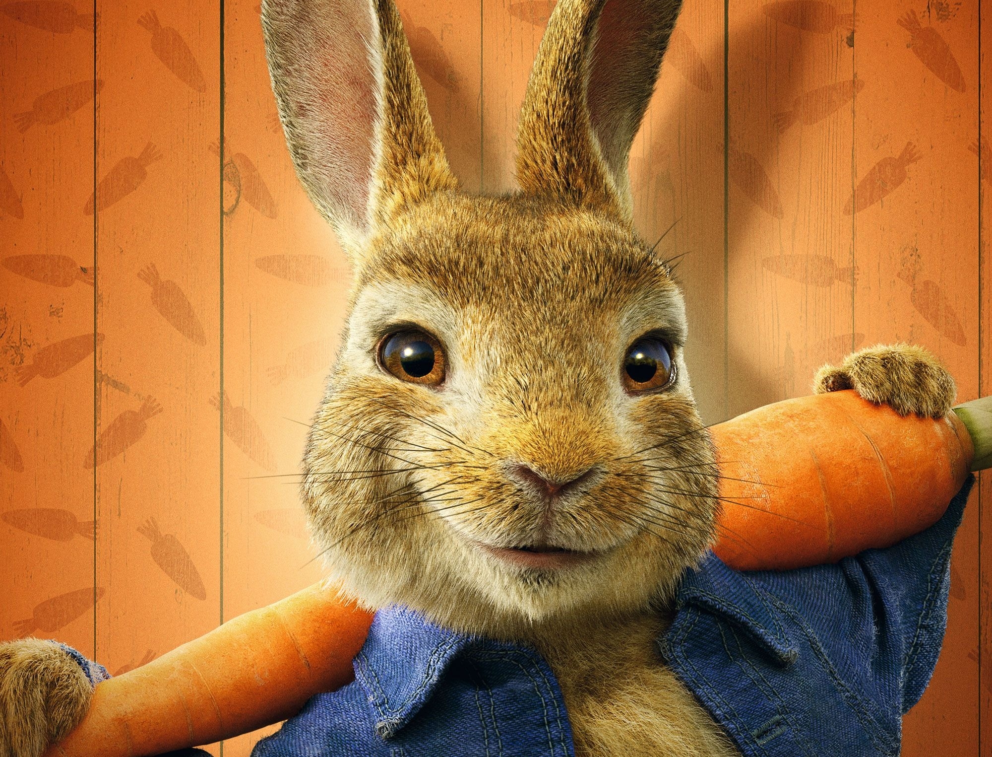 movie, peter rabbit 2: the runaway