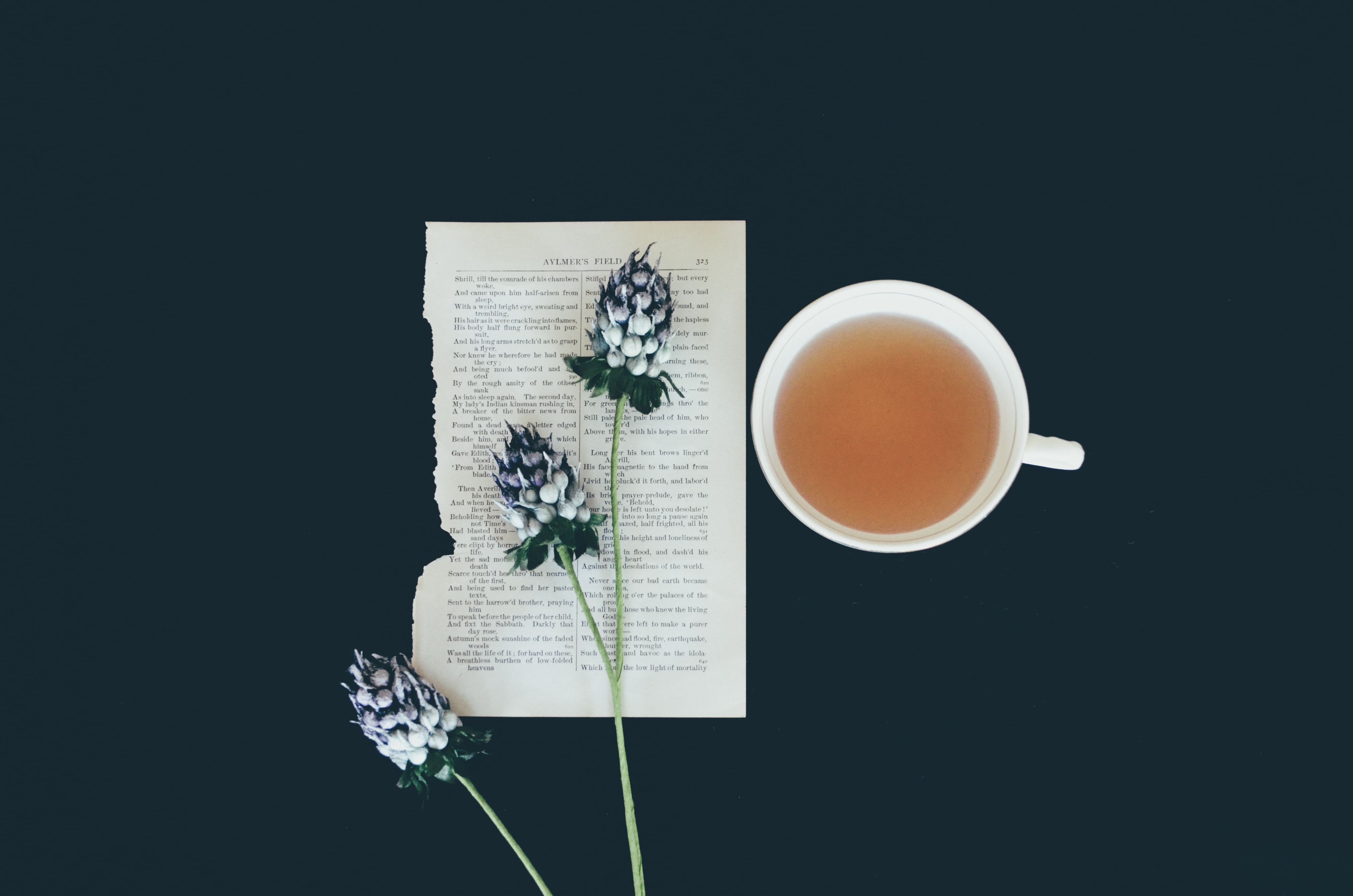flowers, miscellanea, miscellaneous, cup, page
