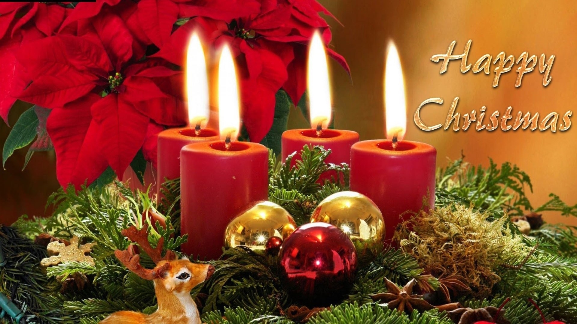 Téléchargez gratuitement l'image Noël, Fleur, Vacances, Décoration, Bougie, Joyeux Noël, Renne sur le bureau de votre PC