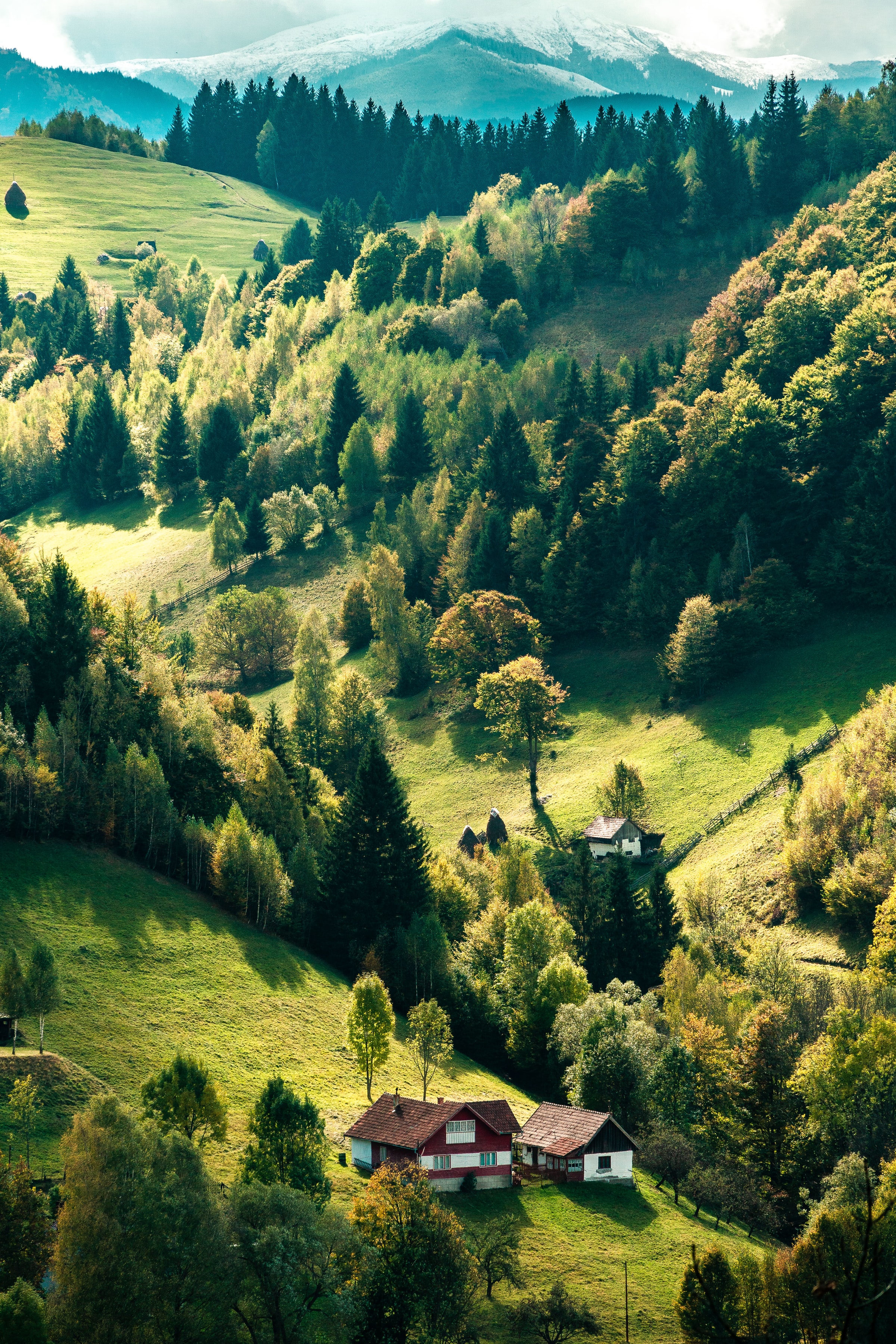 Download mobile wallpaper Hills, Village, Forest, Trees, Nature, House for free.