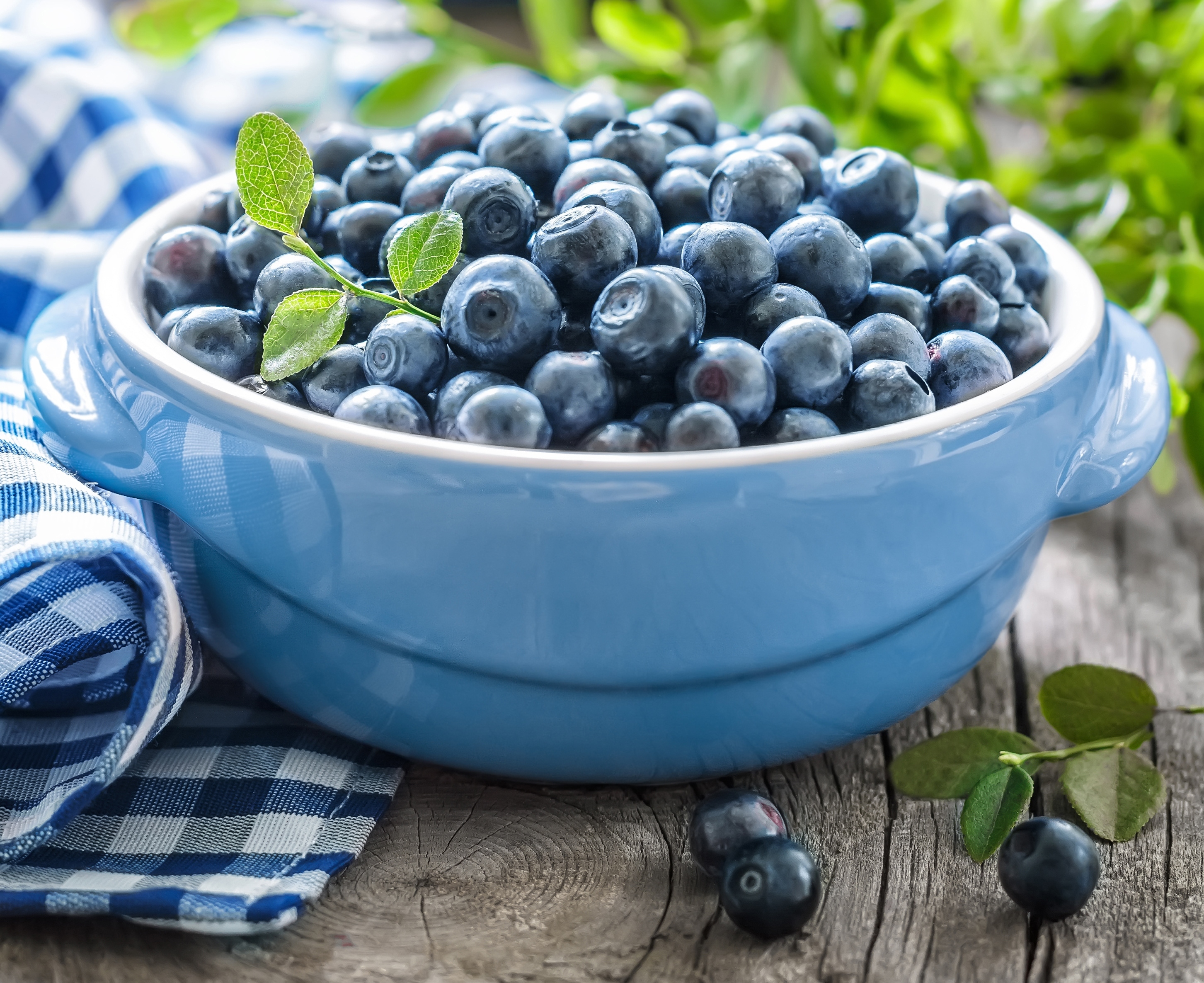 Free download wallpaper Food, Blueberry, Berry, Fruit on your PC desktop