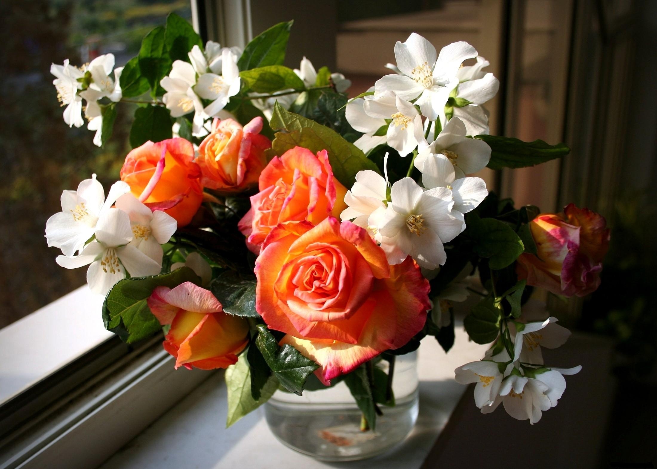 125815 скачать обои весна, розы, жасмин, букет, цветы, окно, ваза - заставки и картинки бесплатно
