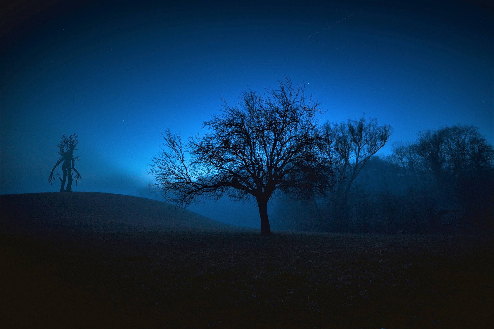 Скачать картинку Фэнтези, Ночь, Дерево, Туман, Синий, Существо в телефон бесплатно.