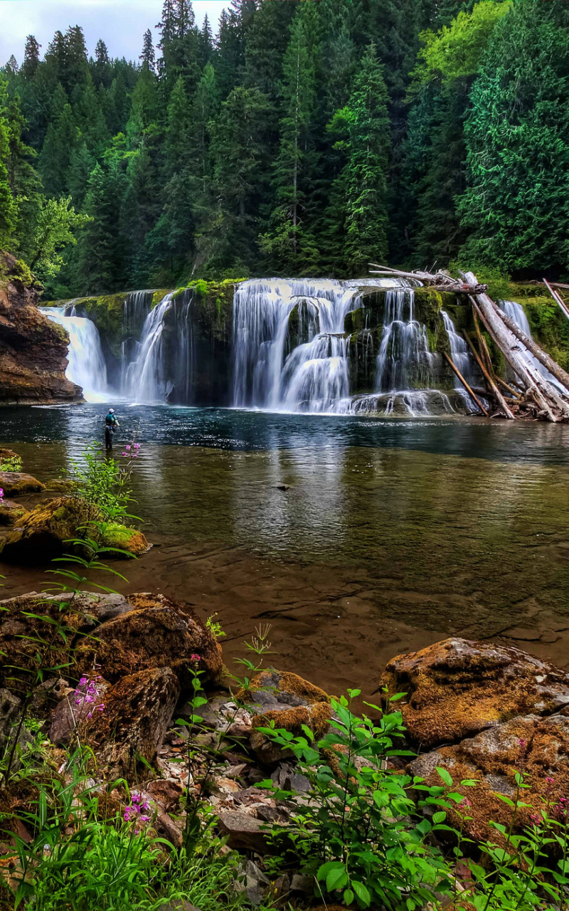 Download mobile wallpaper Water, Waterfalls, Waterfall, Forest, Earth, River, Fishing for free.
