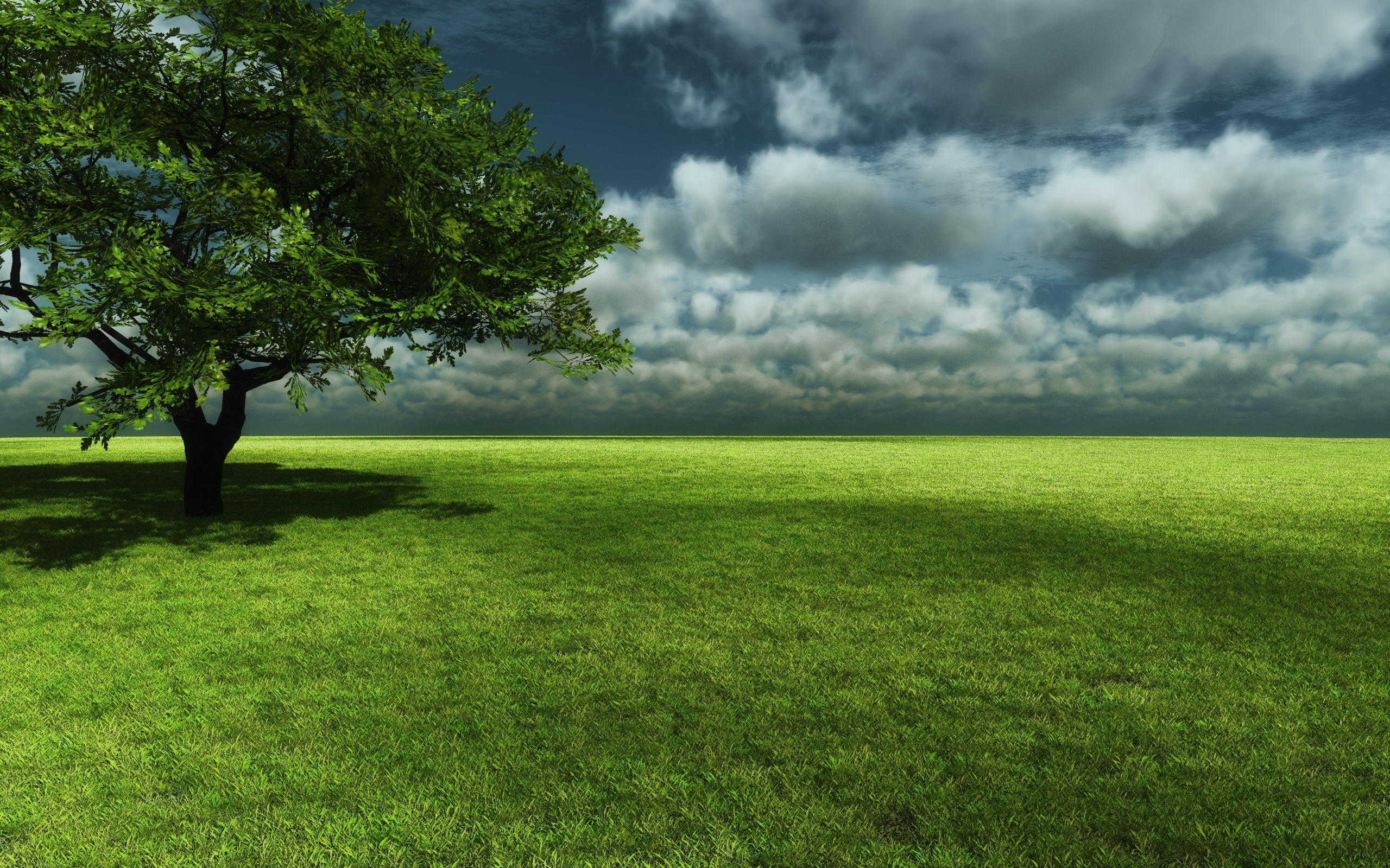 Free download wallpaper Landscape, Trees, Grass, Clouds, Fields on your PC desktop