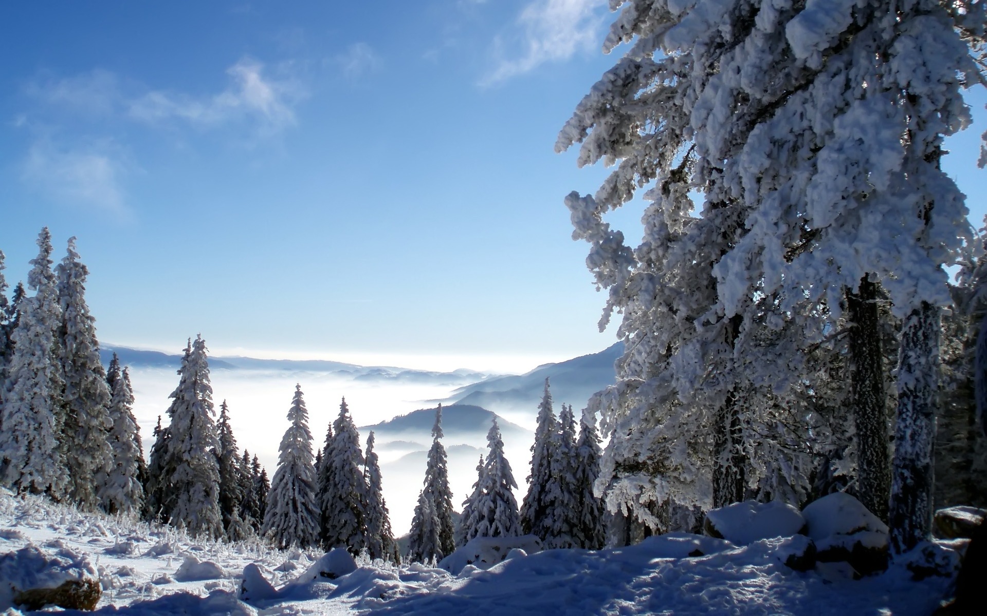 Handy-Wallpaper Landschaft, Winter, Schnee, Baum, Klippe, Gebirge, Kalt, Wolke, Szene, Himmel, Erde/natur kostenlos herunterladen.
