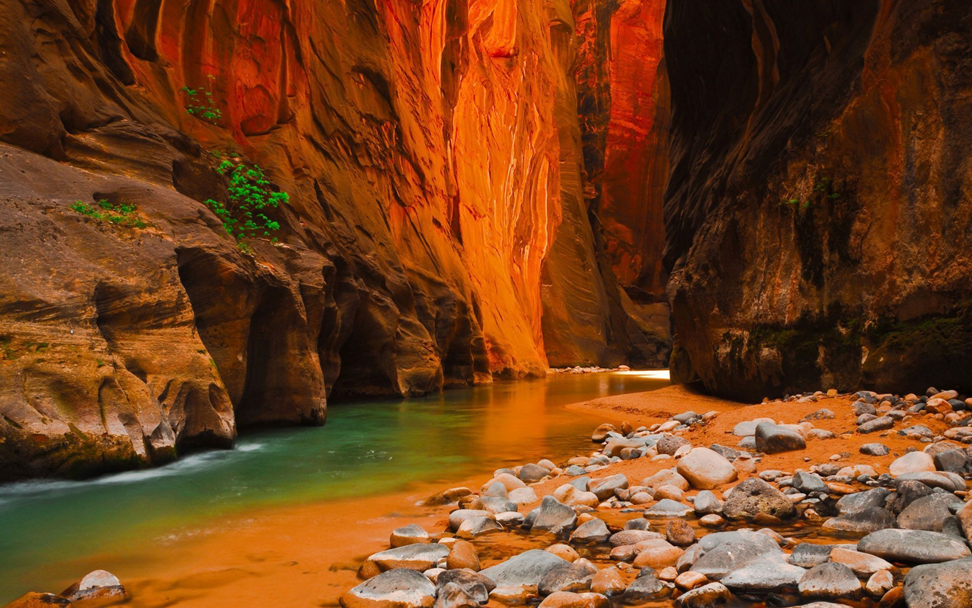 Download mobile wallpaper Canyon, Earth, Canyons, River for free.