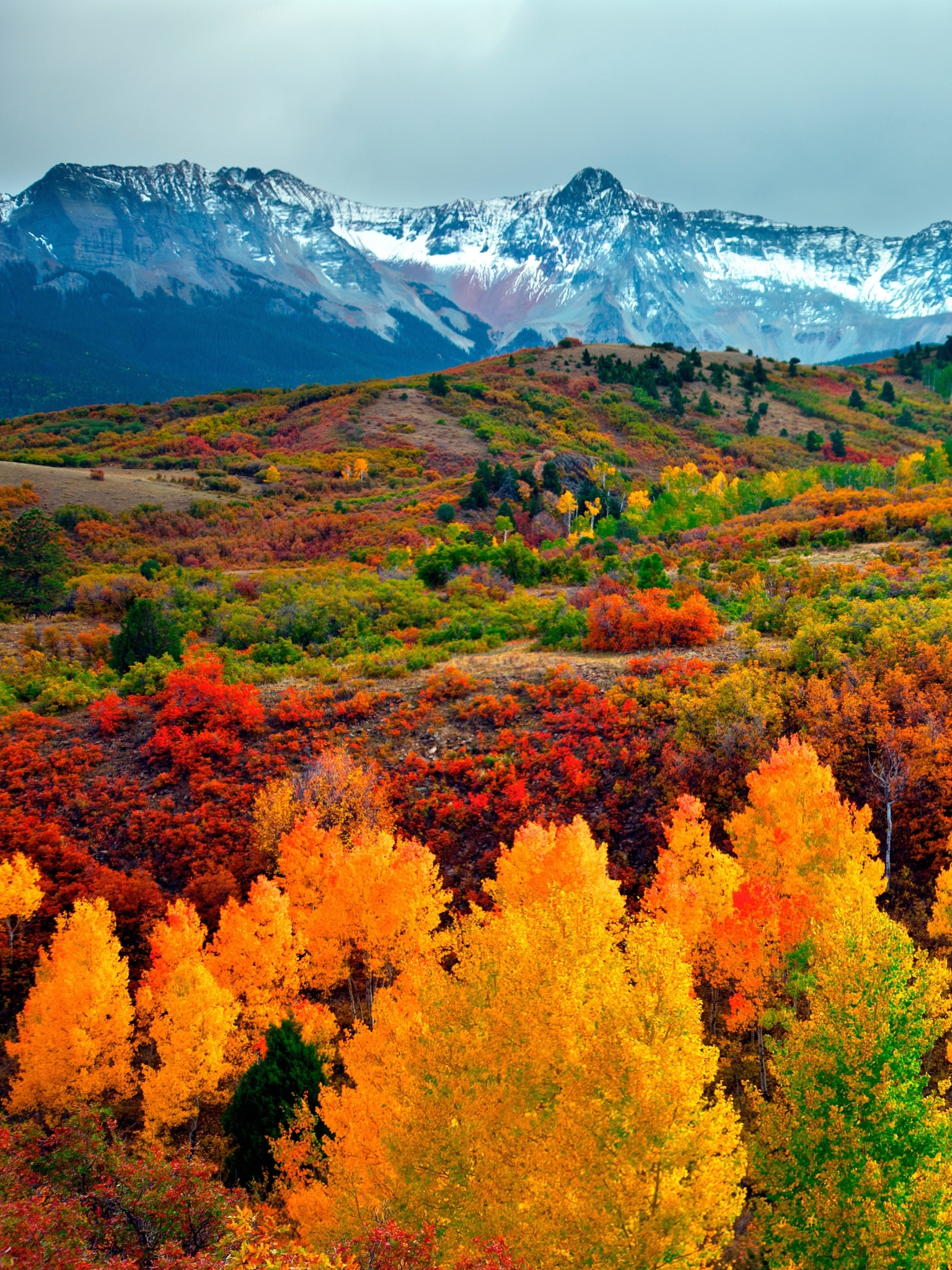 Скачать картинку Пейзаж, Осень, Гора, Лес, Ландшафт, Падать, Земля/природа в телефон бесплатно.