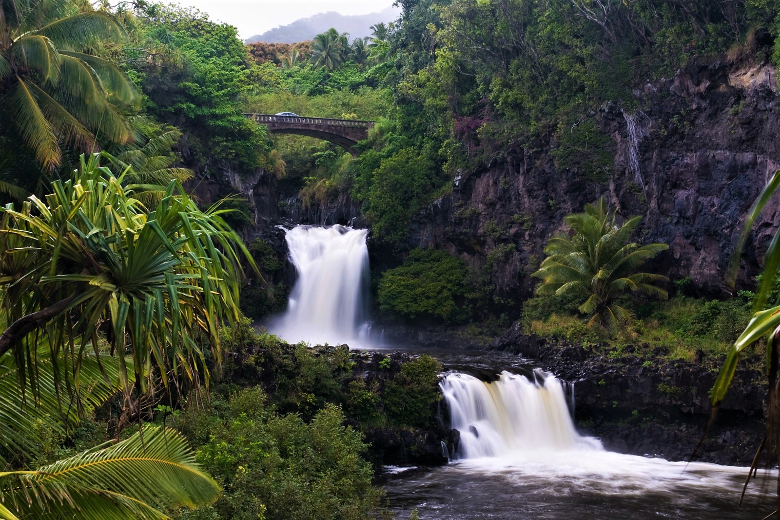 Download mobile wallpaper Waterfalls, Waterfall, Earth, Bridge, Tropical, Rainforest for free.