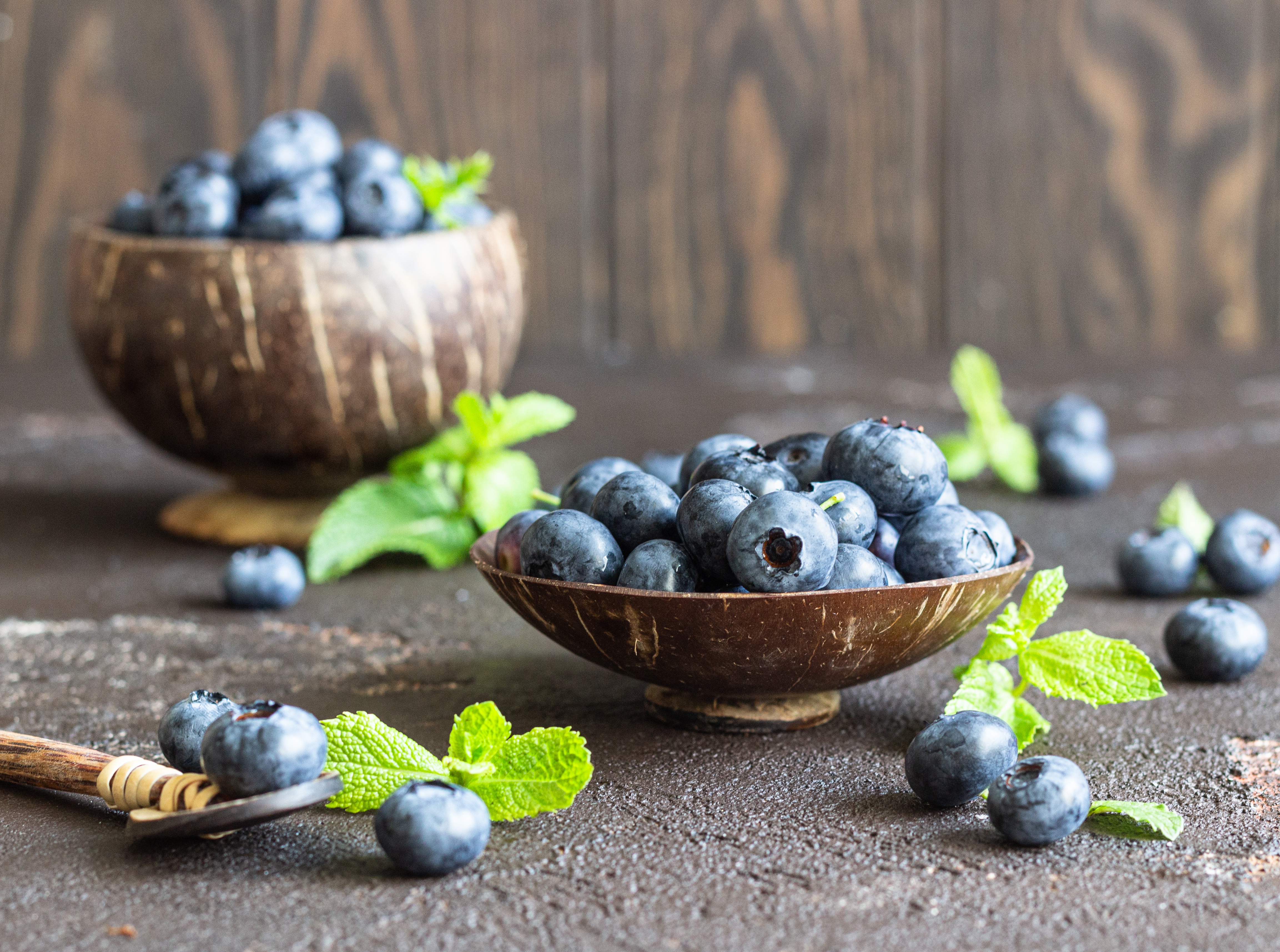 Free download wallpaper Food, Blueberry, Still Life, Berry, Fruit on your PC desktop