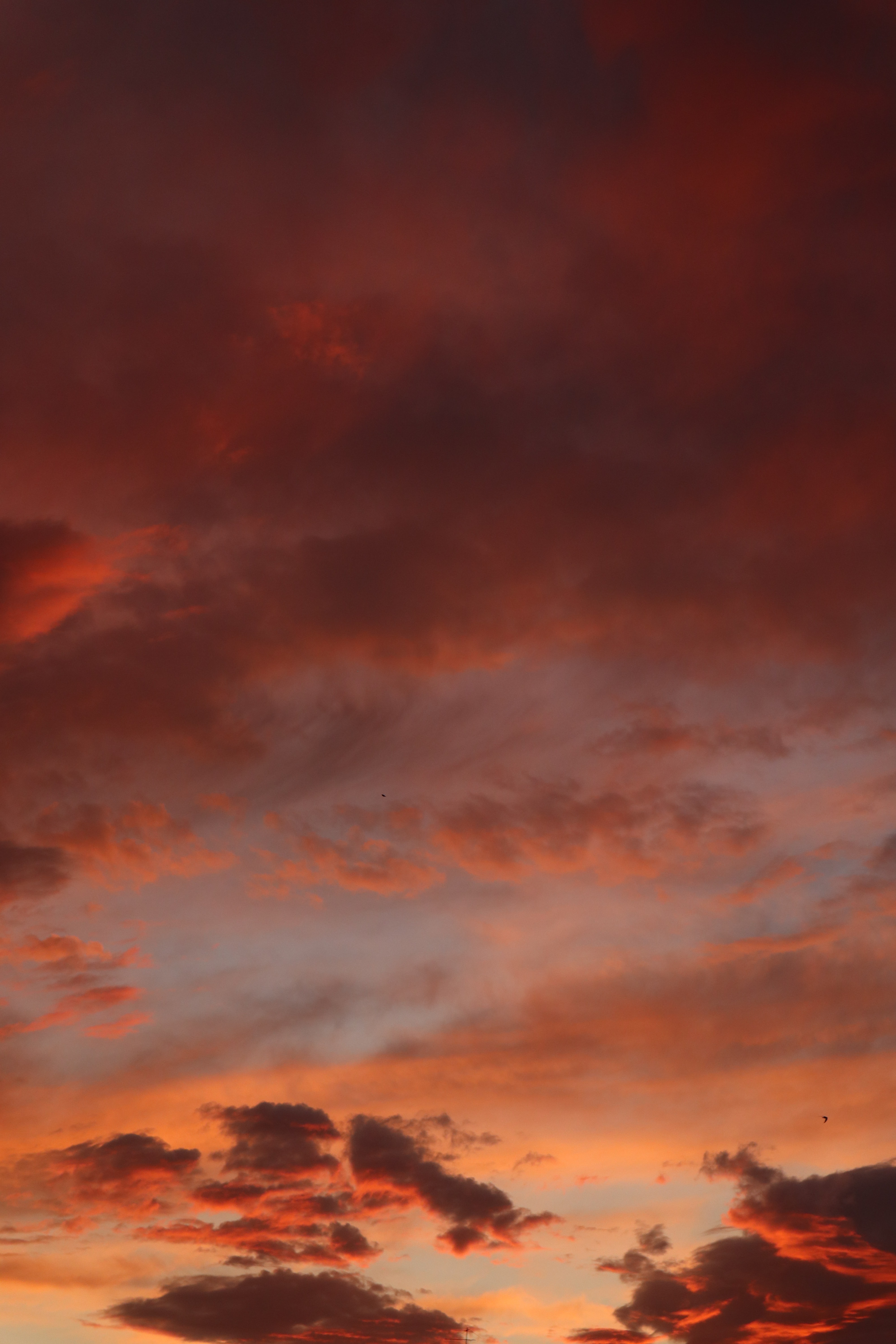 Handy-Wallpaper Clouds, Schön, Natur, Sunset, Sky, Rosa kostenlos herunterladen.