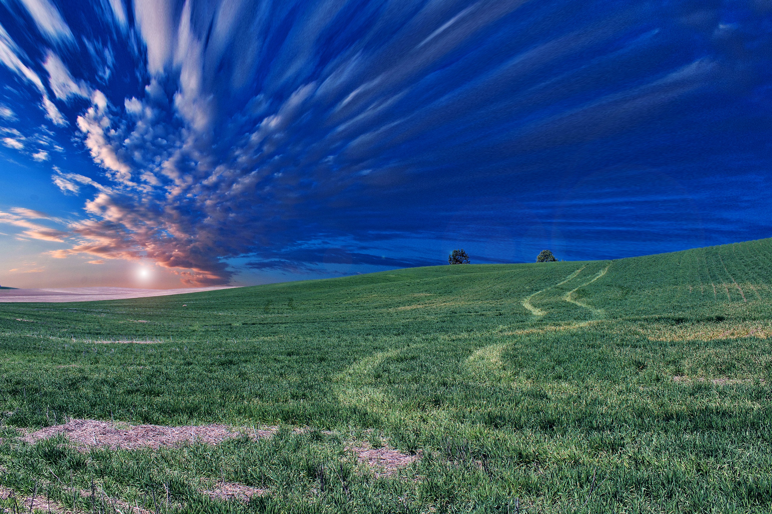 Free download wallpaper Nature, Grass, Sky, Horizon, Field, Evening on your PC desktop