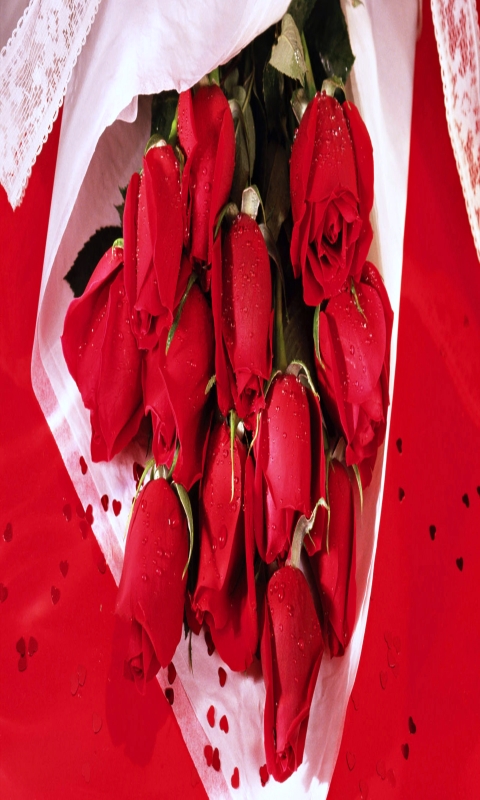 Handy-Wallpaper Blumen, Liebe, Rose, Strauß, Rote Rose, Romantisch, Rote Blume, Erde/natur kostenlos herunterladen.