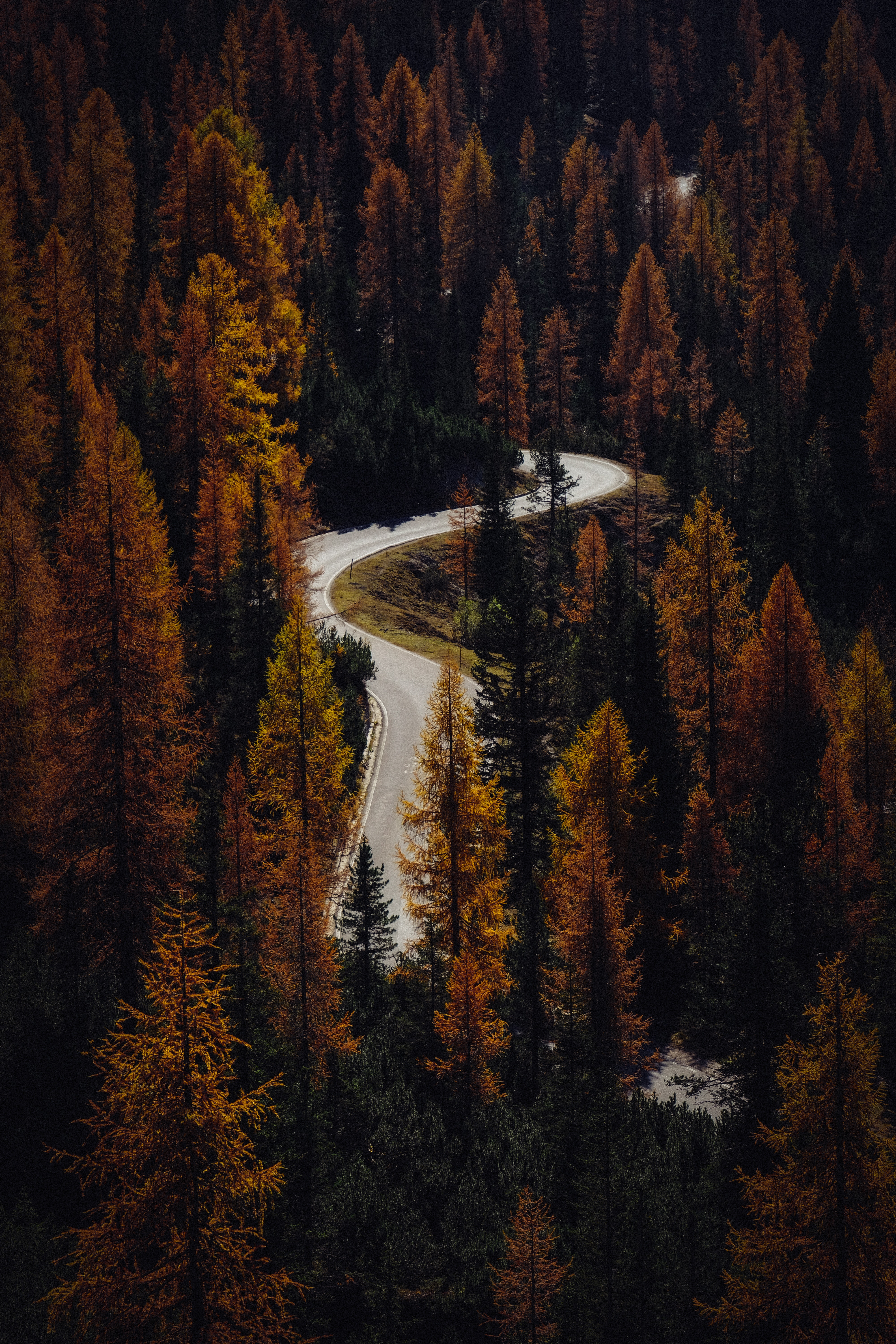 無料モバイル壁紙自然, 木, 道路, 上から見る, 道, 森林, 森, 秋をダウンロードします。
