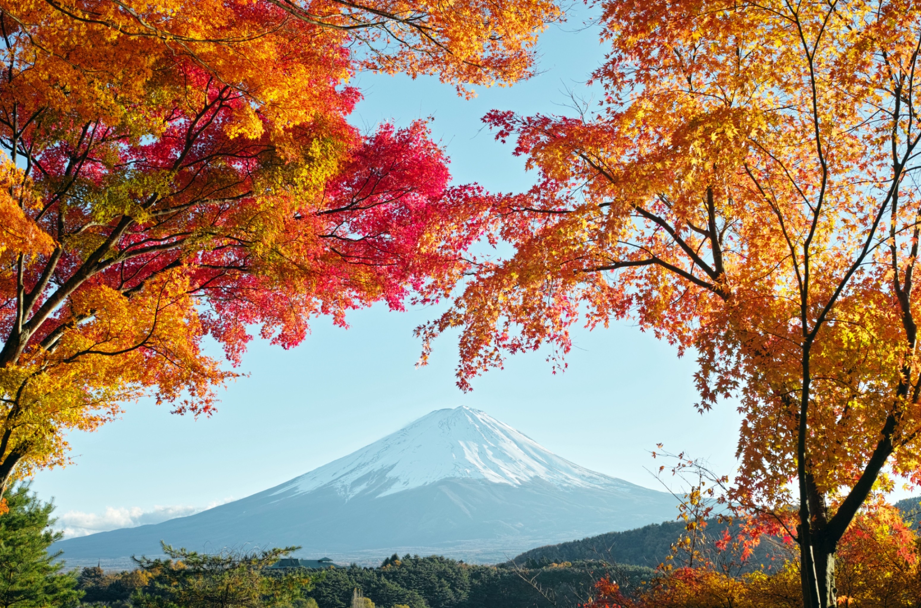 341682 скачать картинку япония, фудзияма, земля/природа, гора фудзи, вулканы - обои и заставки бесплатно