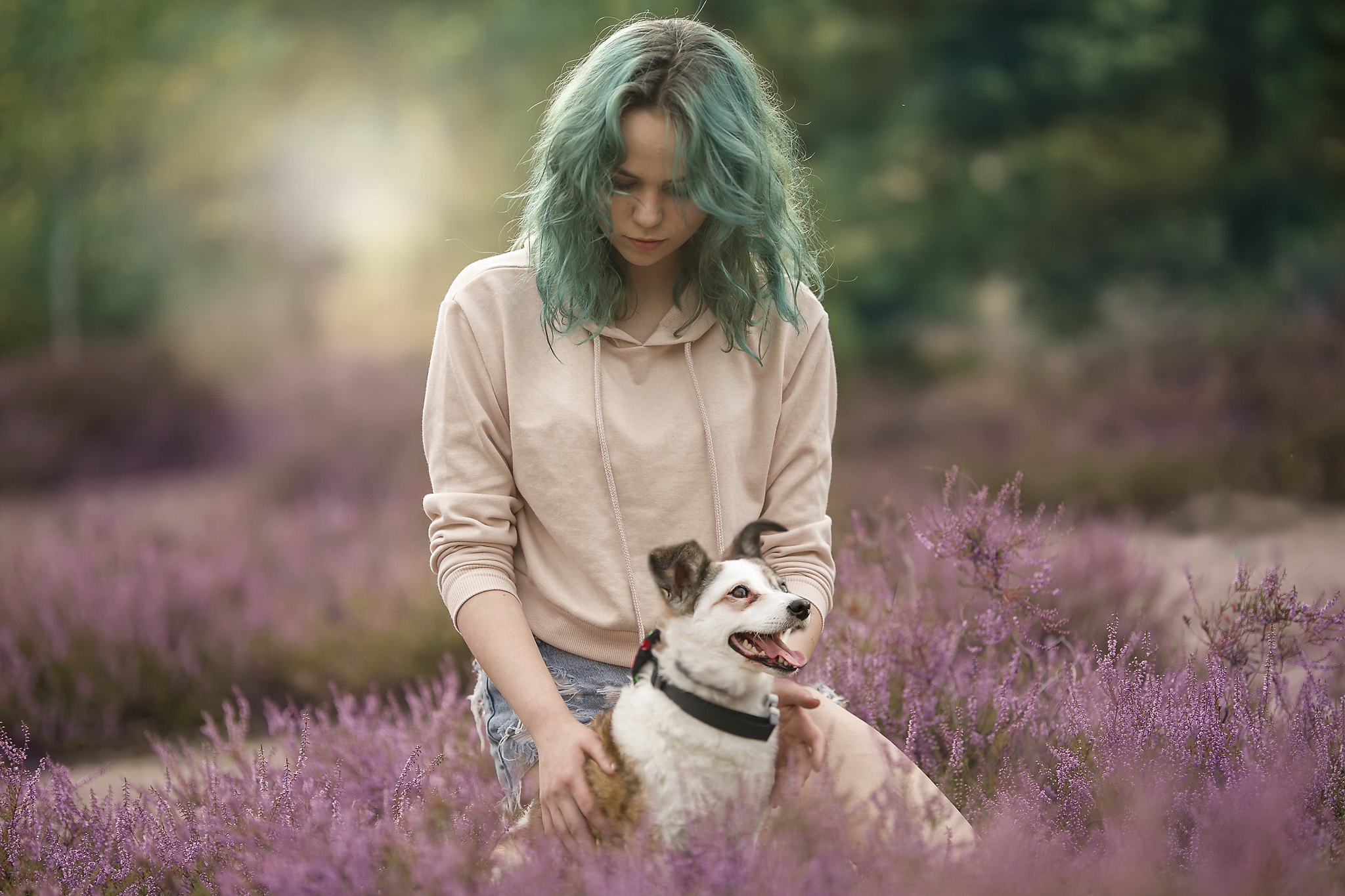 Free download wallpaper Nature, Dog, Mood, Women on your PC desktop