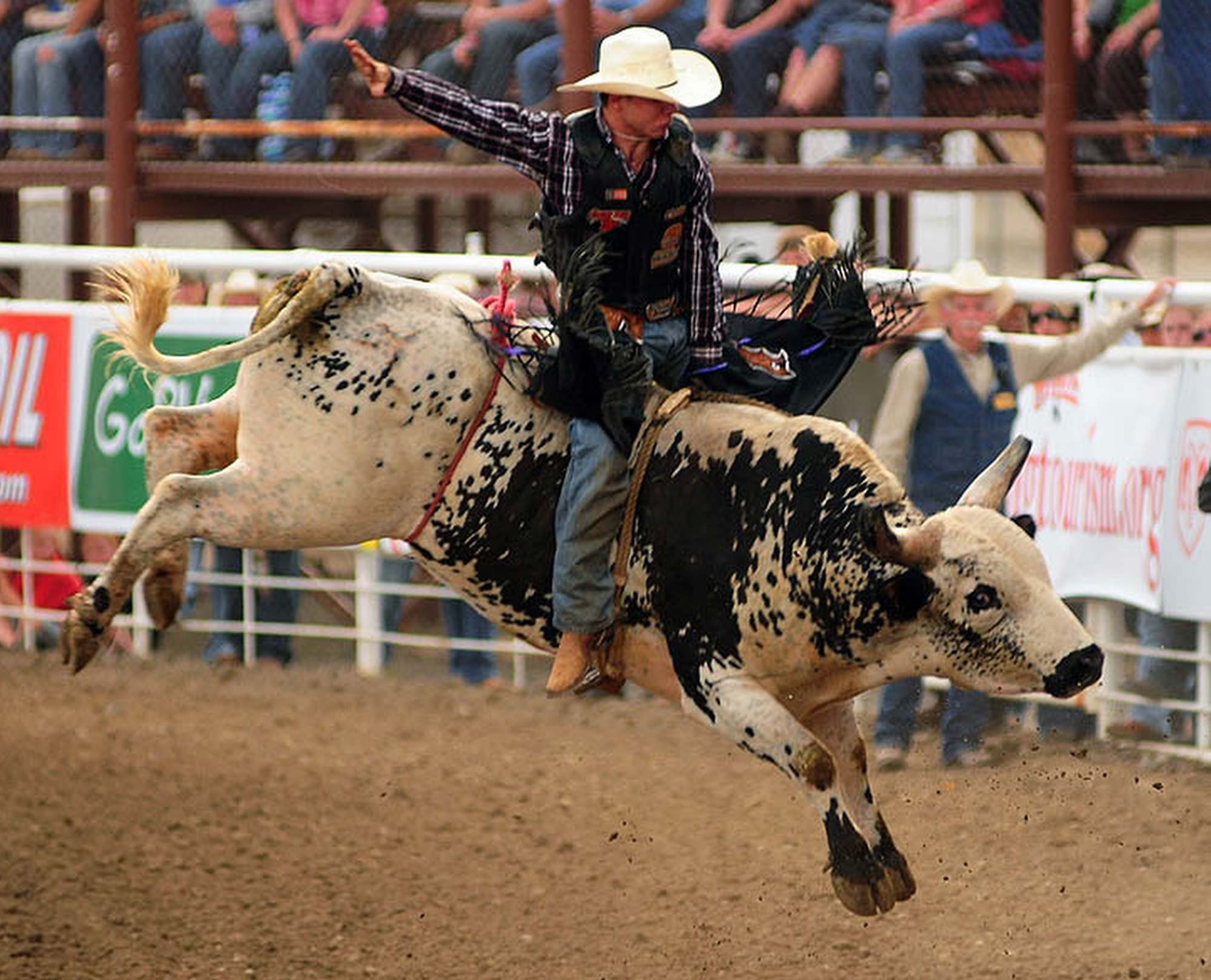 1486767 descargar fondo de pantalla deporte, monta de toros: protectores de pantalla e imágenes gratis