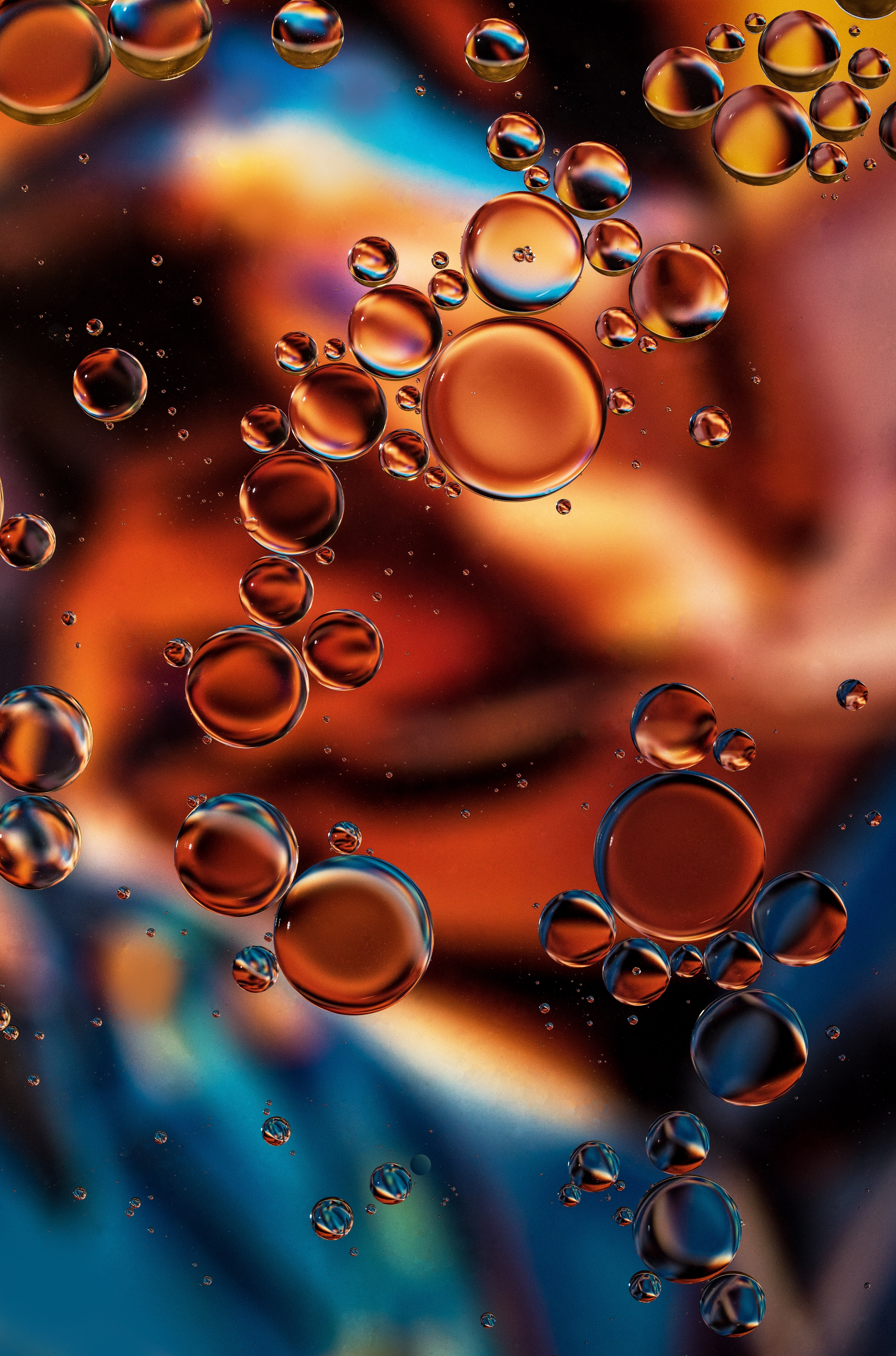 bubbles, transparent, macro, liquid