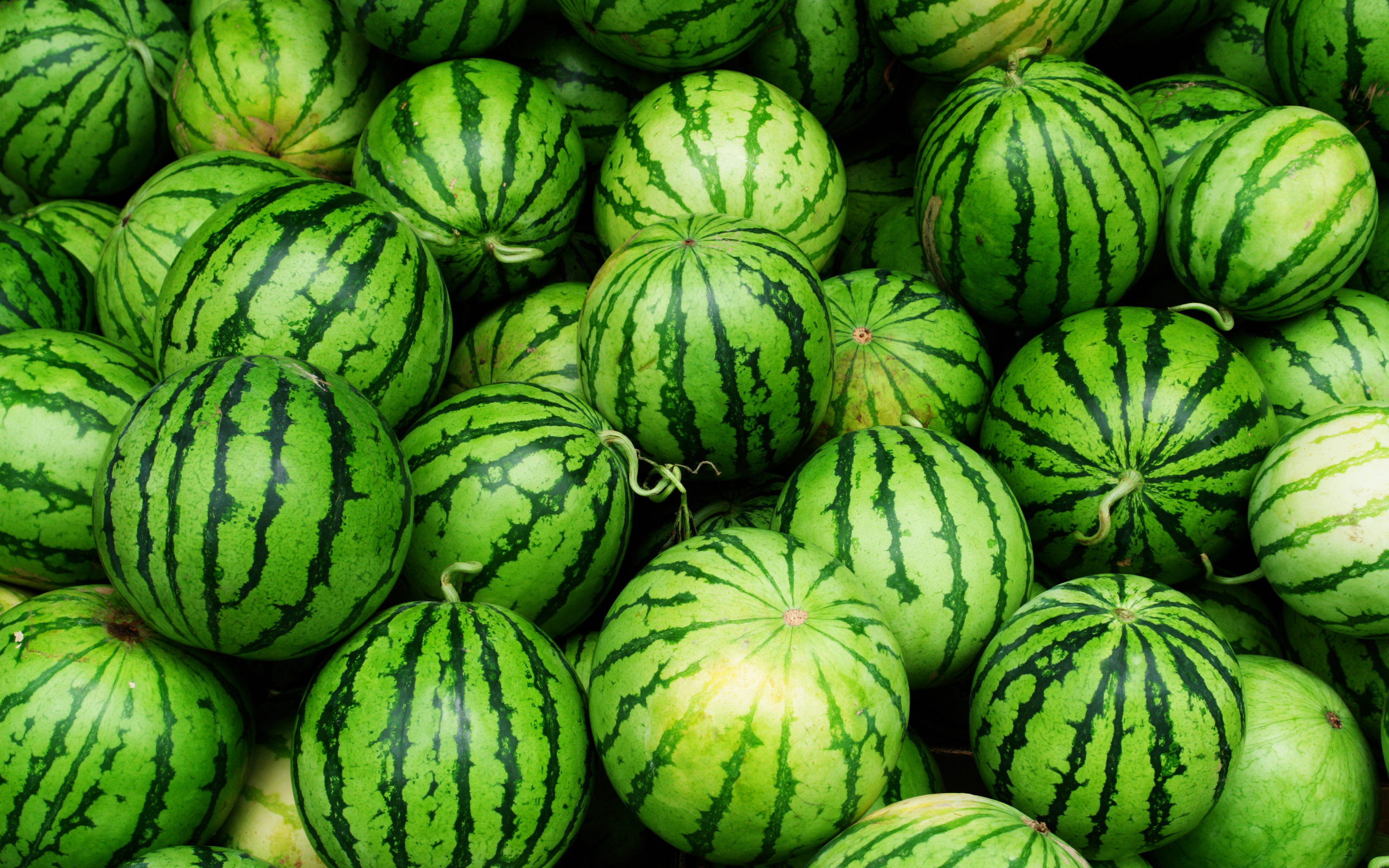 Free download wallpaper Fruits, Food, Watermelon on your PC desktop