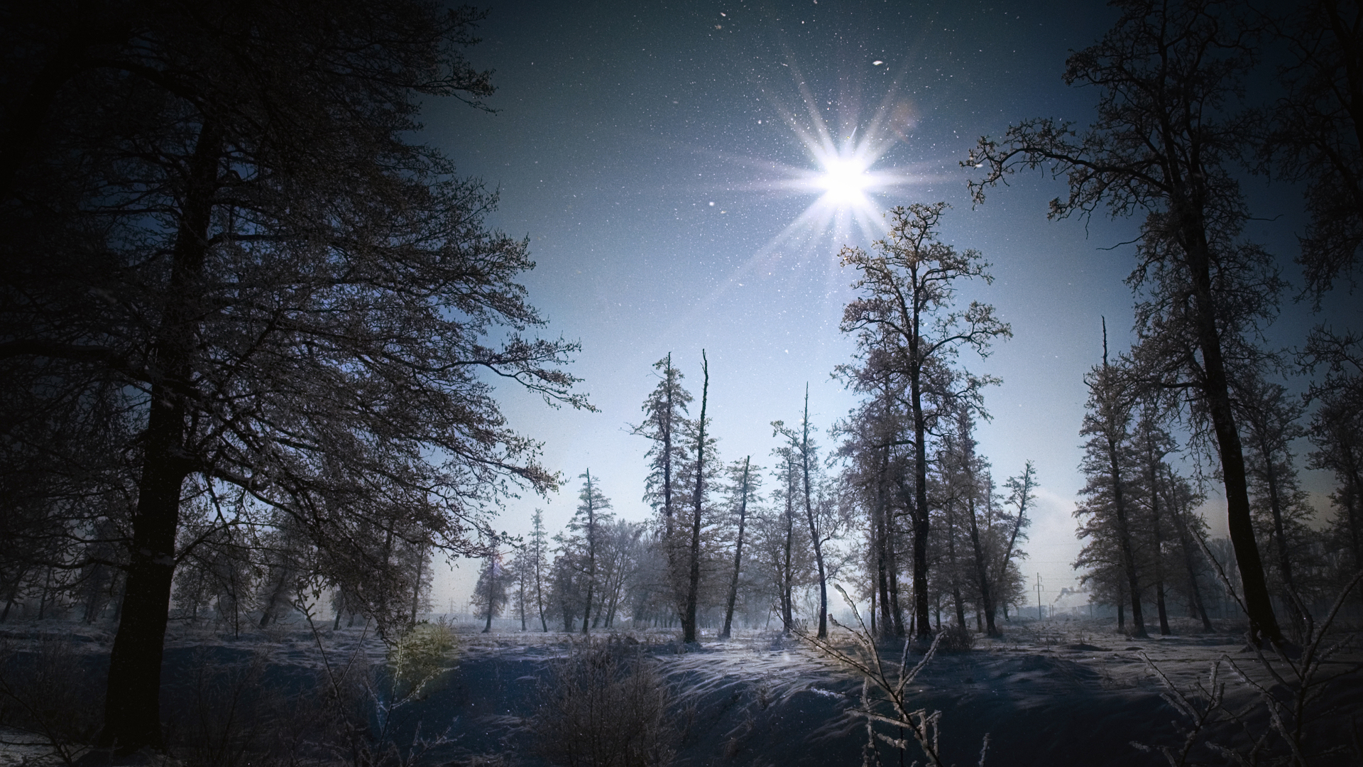 Téléchargez des papiers peints mobile Hiver, Terre/nature gratuitement.