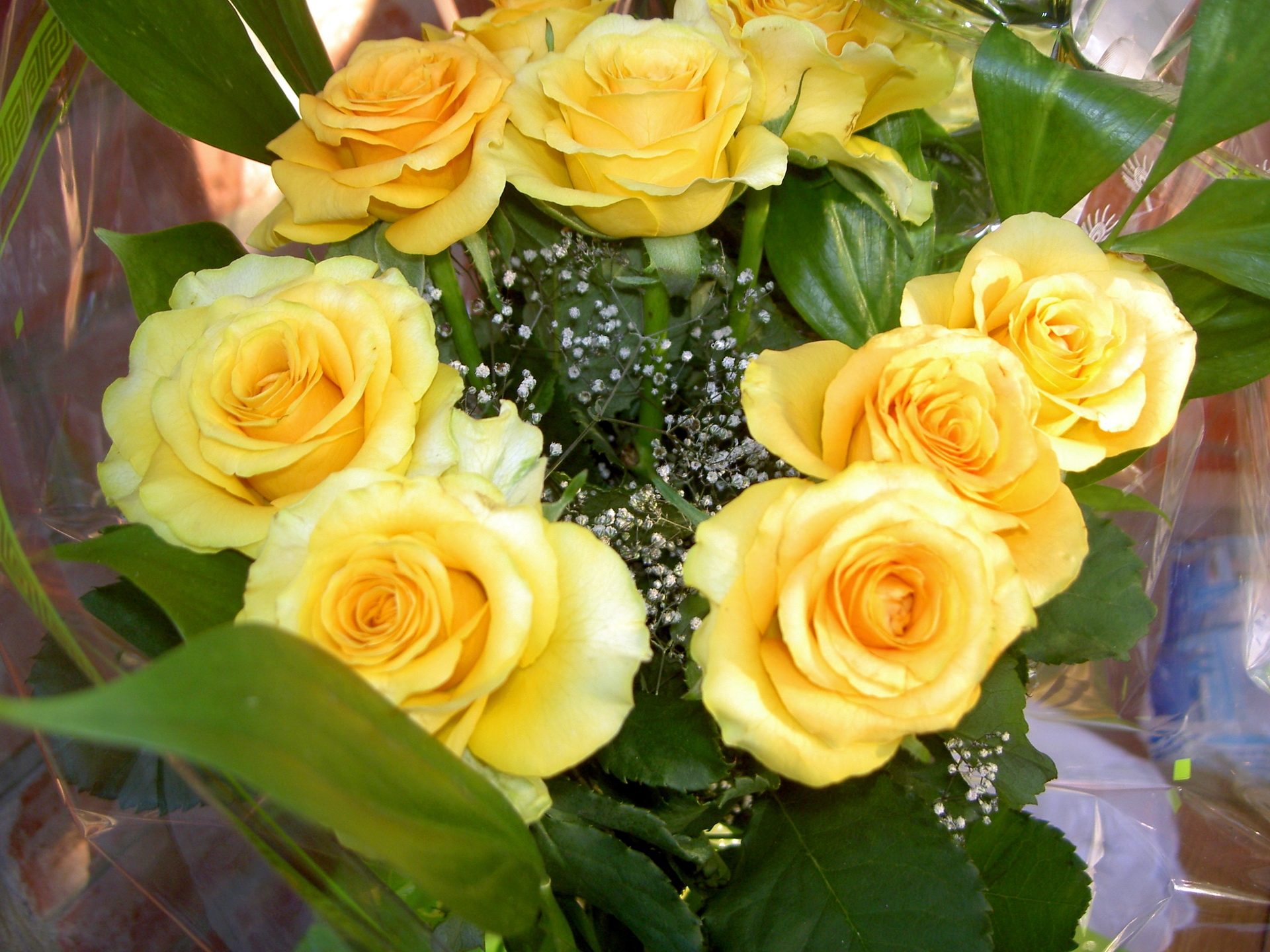 flowers, roses, yellow, registration, typography, bouquet 1080p