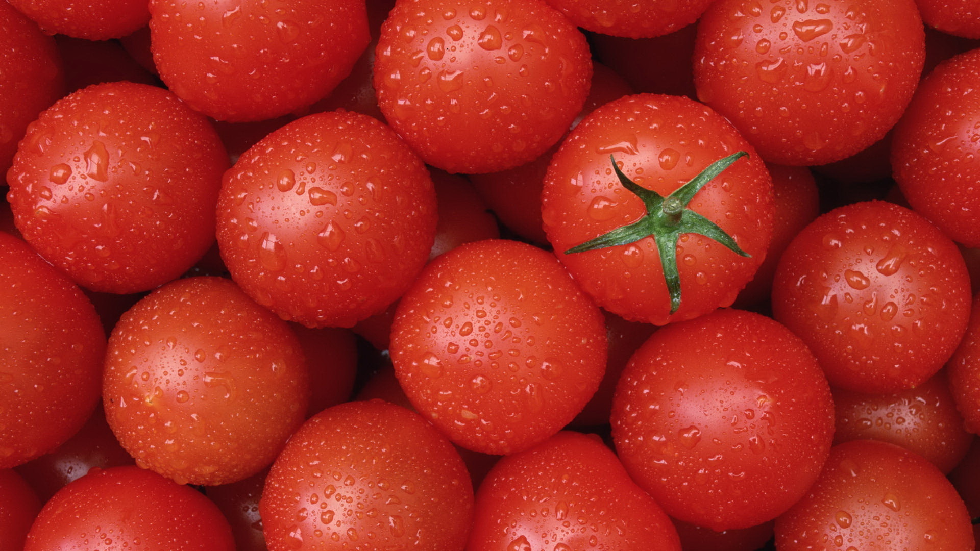 233294 Bild herunterladen nahrungsmittel, tomate, früchte - Hintergrundbilder und Bildschirmschoner kostenlos