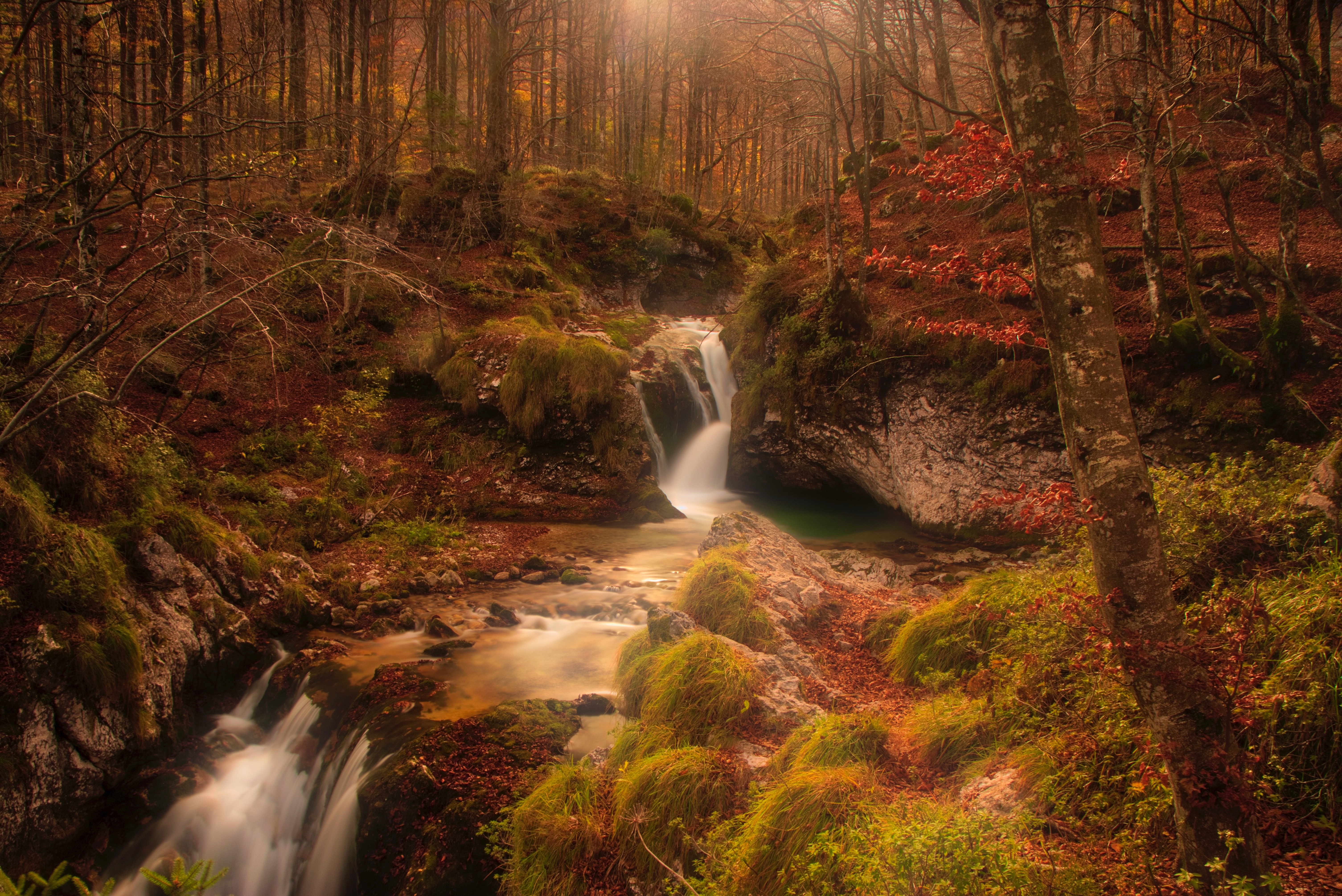 Free download wallpaper Creek, Brook, Nature, Waterfall, Forest, Autumn on your PC desktop