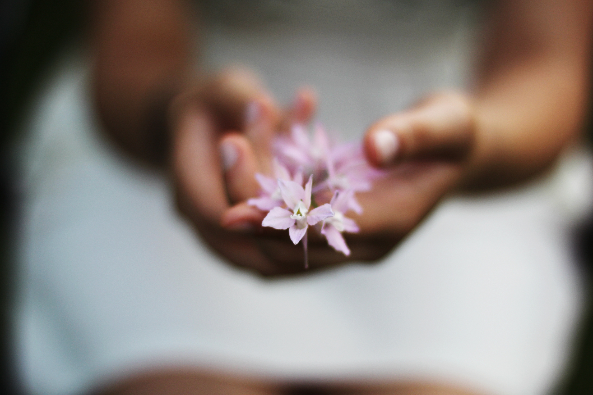 Download mobile wallpaper Macro, Smooth, Flower, Hands, Blur for free.