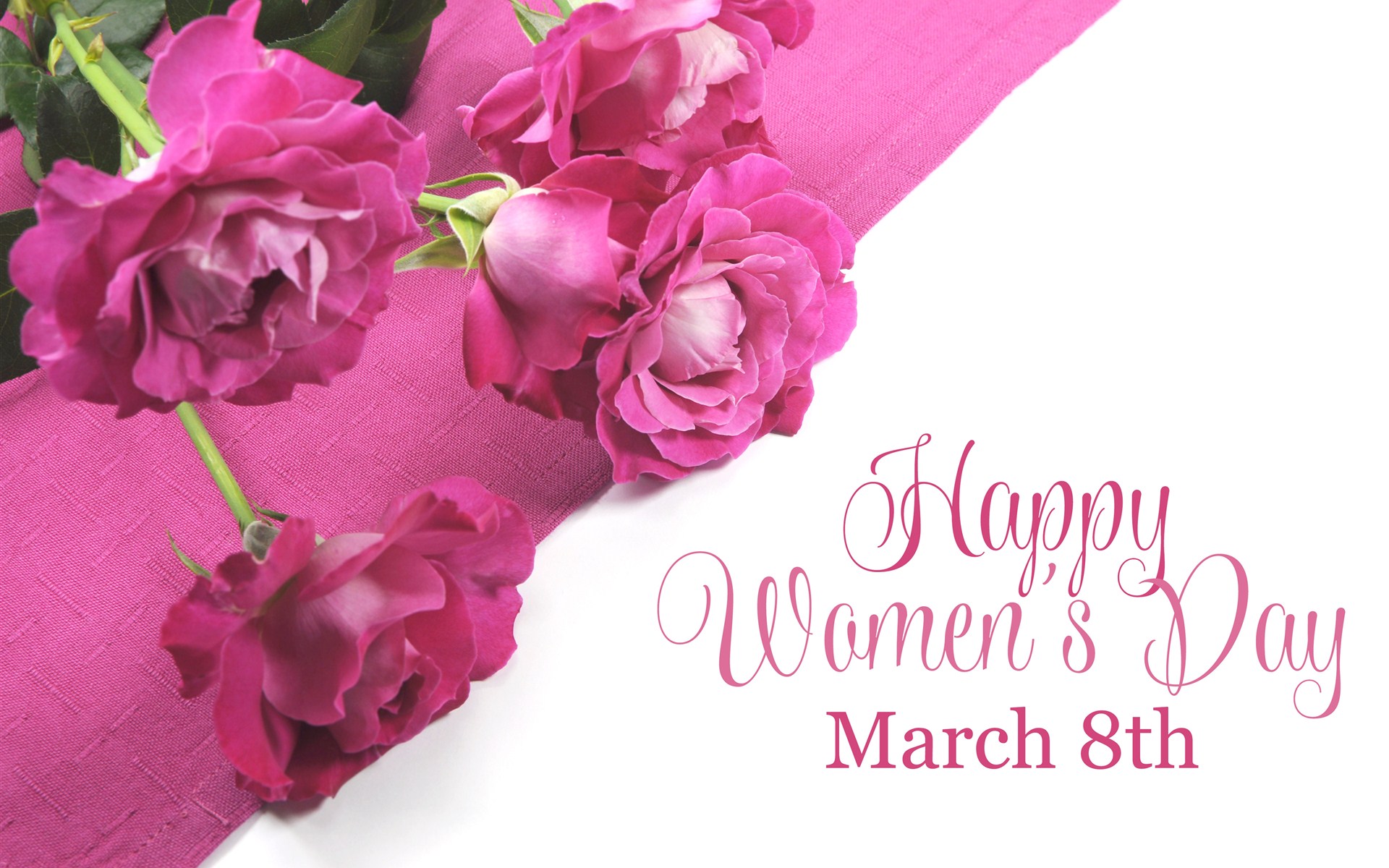 happy women's day, holiday, women's day, flower, pink rose, rose, statement