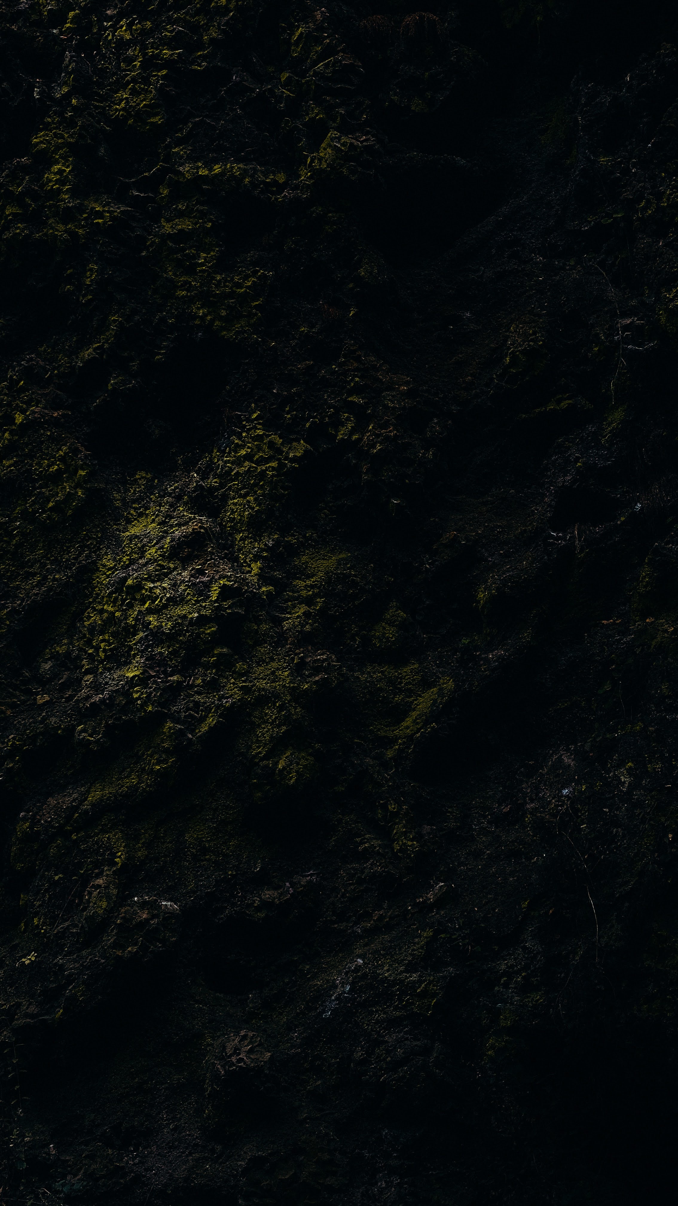 moss, rock, texture, dark, stone phone wallpaper