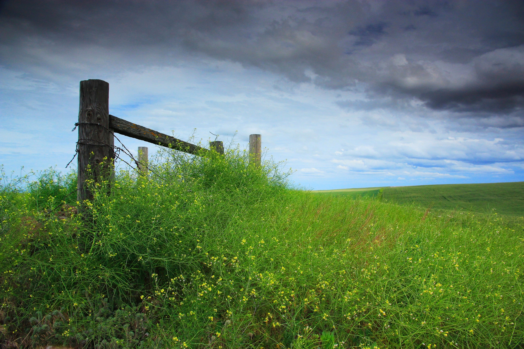 Free download wallpaper Grass, Sky, Field, Mainly Cloudy, Overcast, Fencing, Log, Nature, Enclosure on your PC desktop