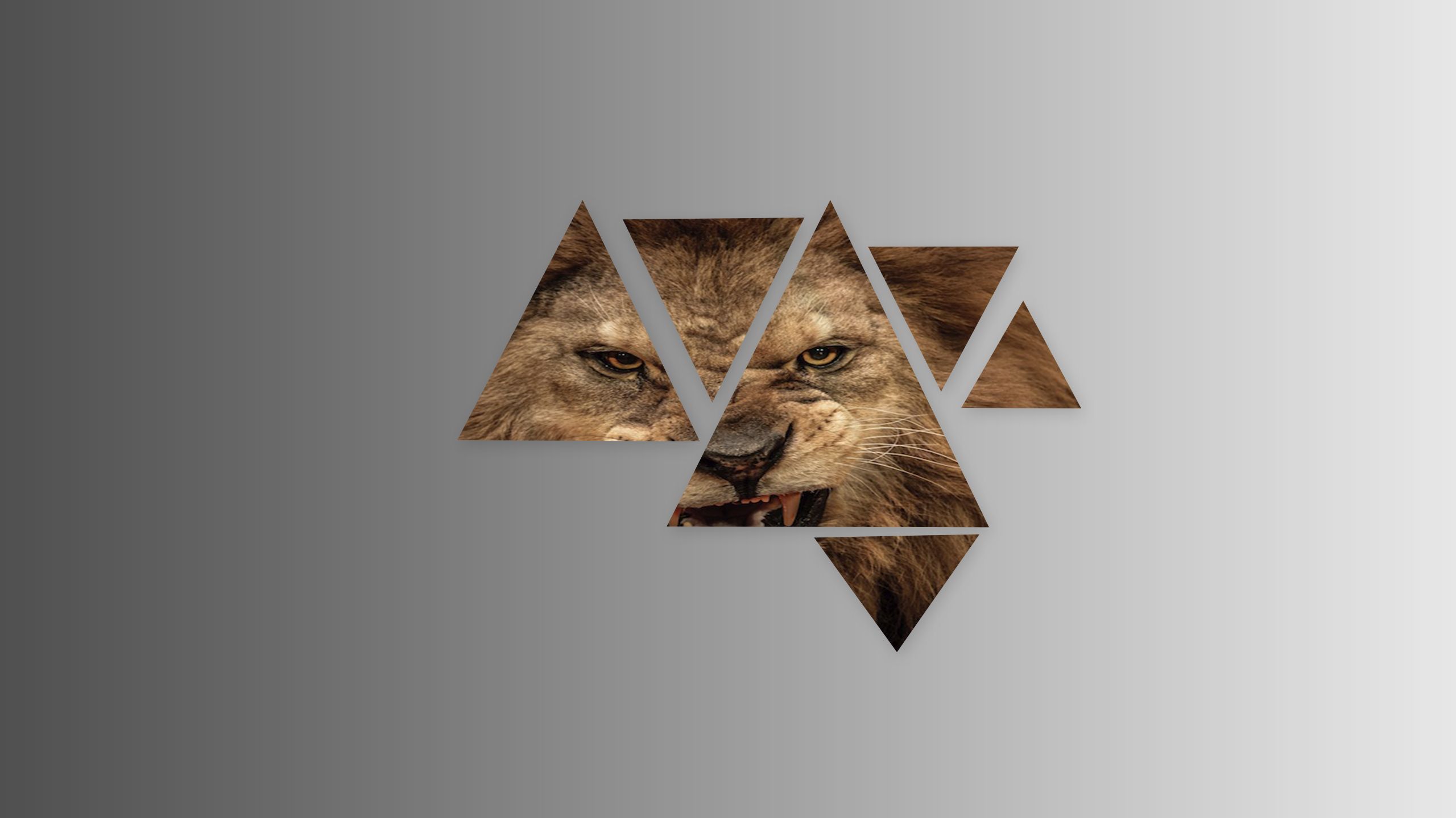 Free download wallpaper Lion, Artistic, Triangle, Polyscape on your PC desktop