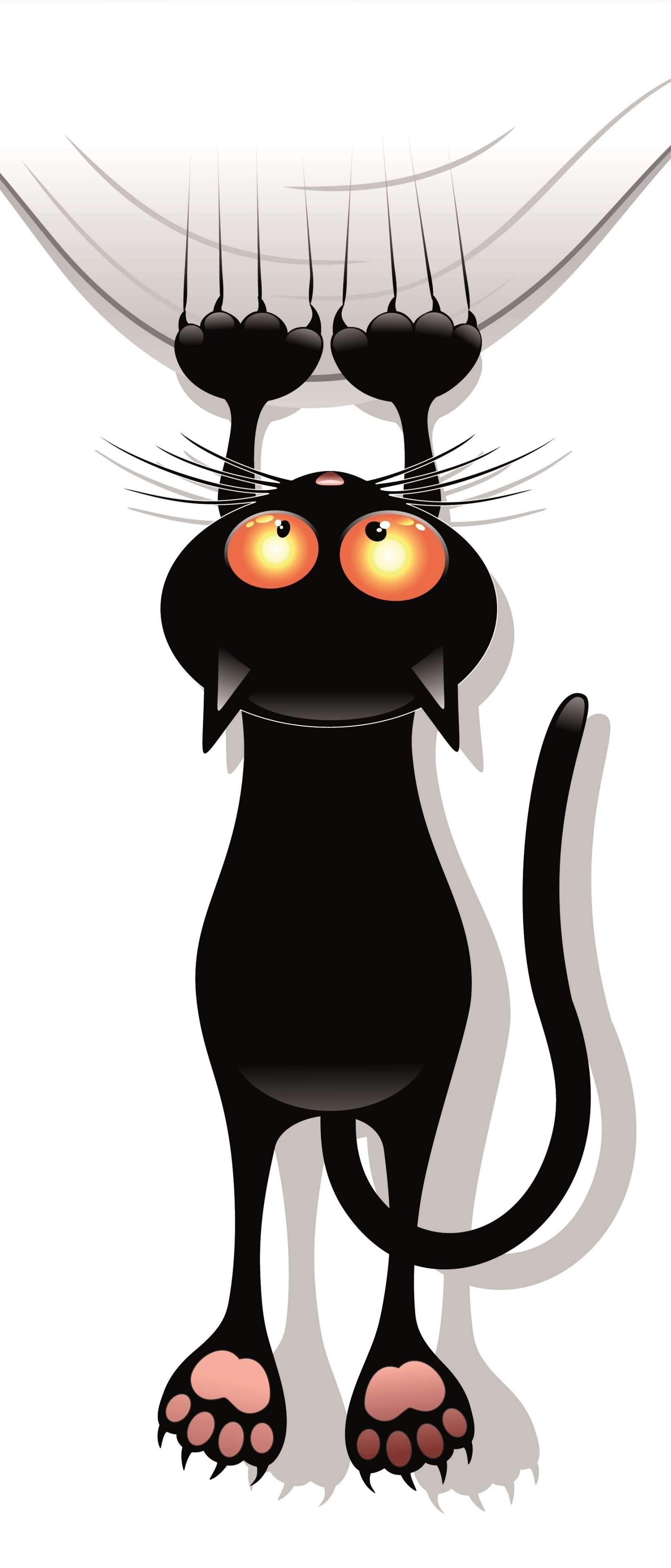 Laden Sie das Humor, Katzen, Katze-Bild kostenlos auf Ihren PC-Desktop herunter