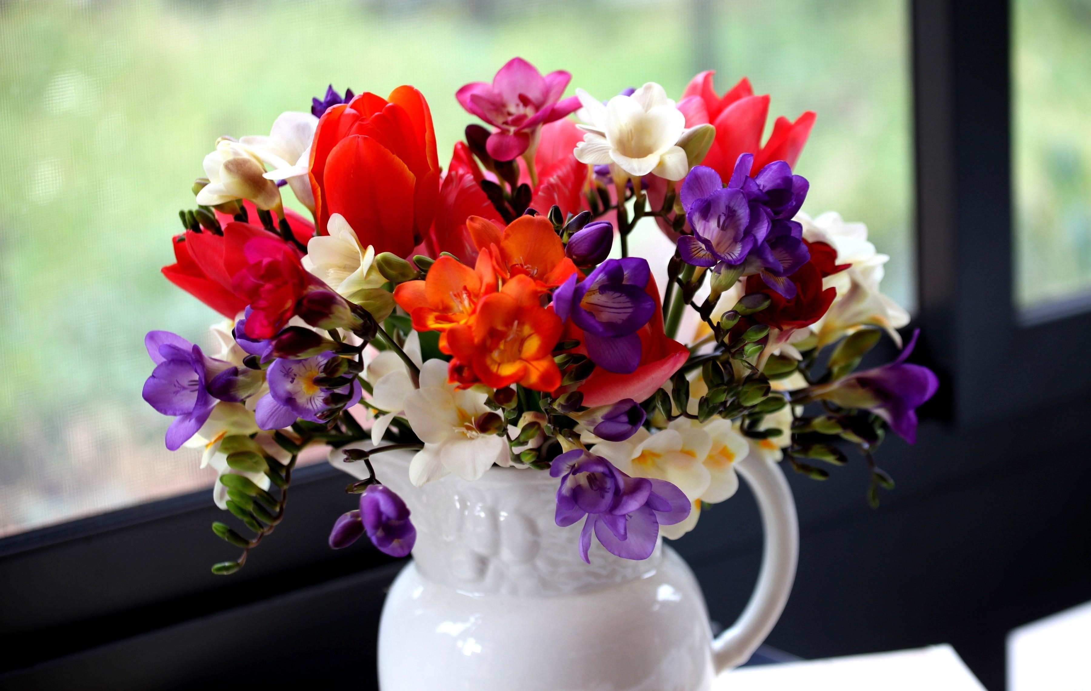 tulips, flowers, bouquet, jug, window, freesia