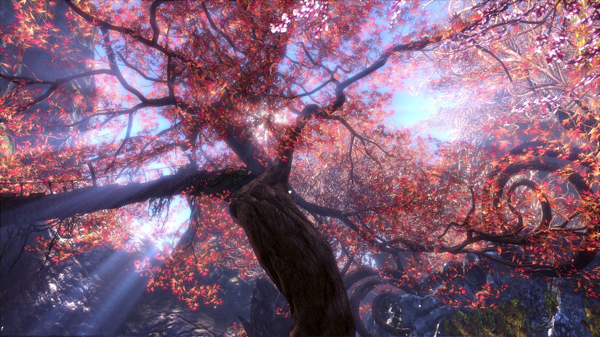 Free download wallpaper Trees, Landscape, Plants on your PC desktop