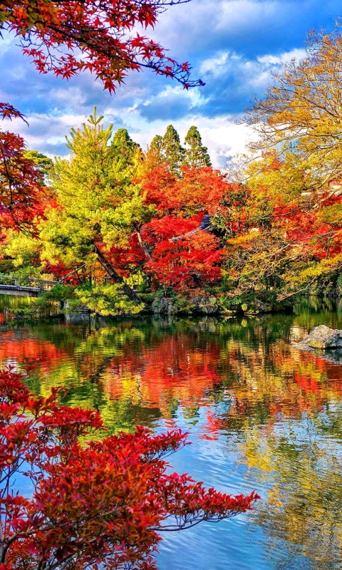 Скачать картинку Осень, Озеро, Лес, Парк, Дерево, Мост, Сад, Падать, Сделано Человеком, Японский Сад в телефон бесплатно.