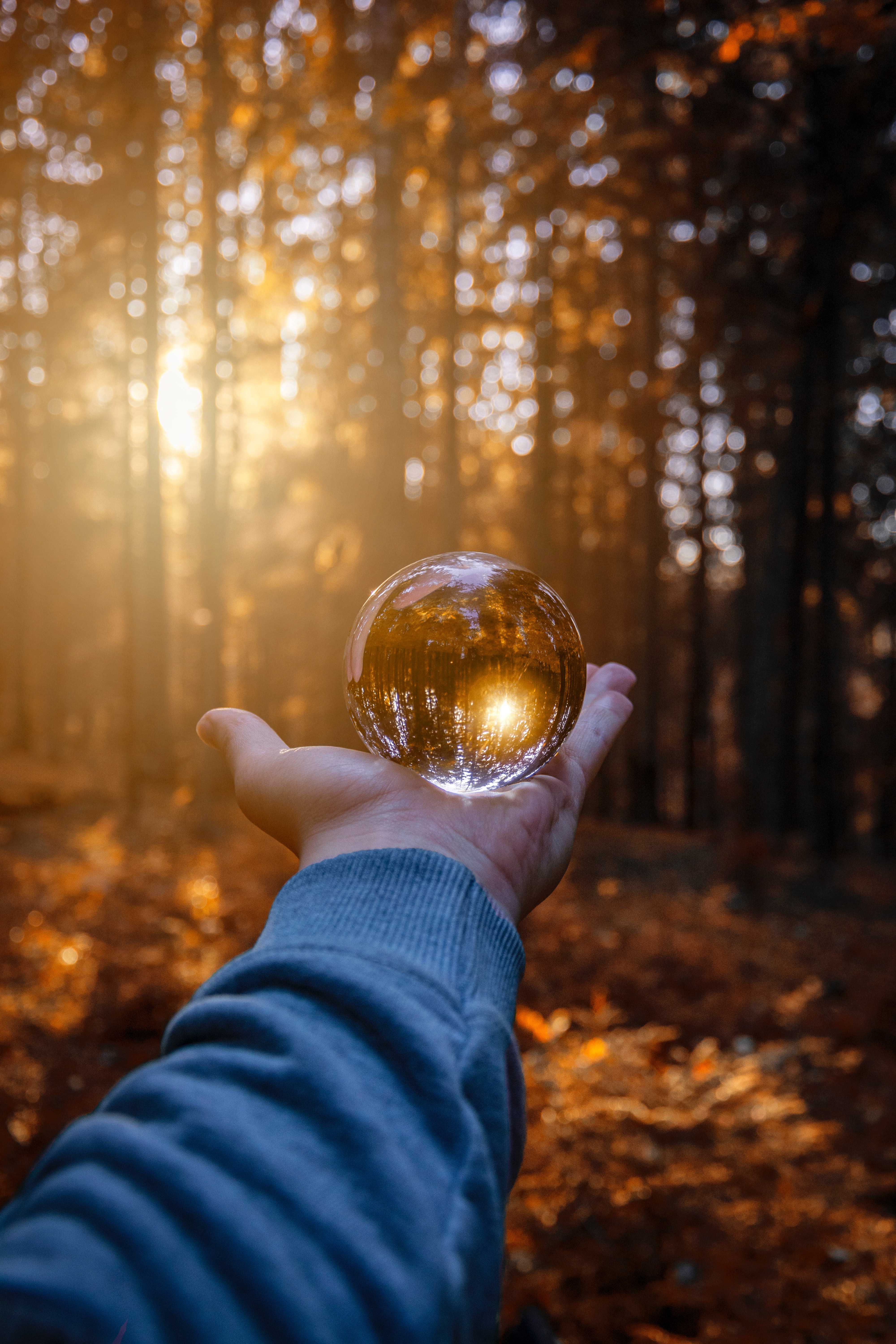 Download mobile wallpaper Reflection, Ball, Glass, Hand, Miscellaneous, Autumn, Miscellanea for free.