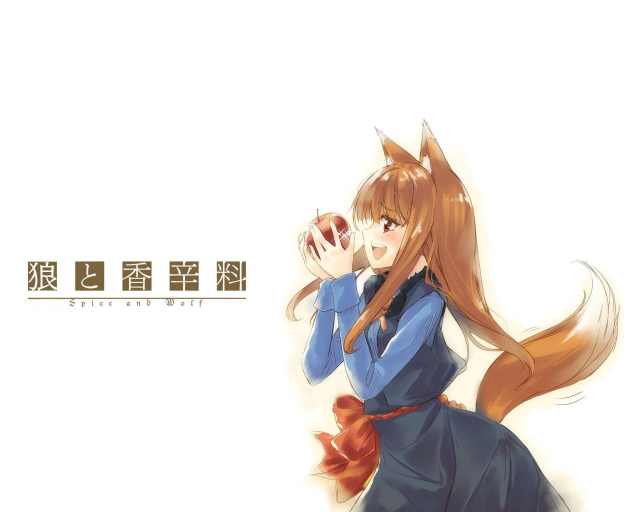 anime, spice and wolf, holo (spice & wolf), ookami to koushinryou, wolf