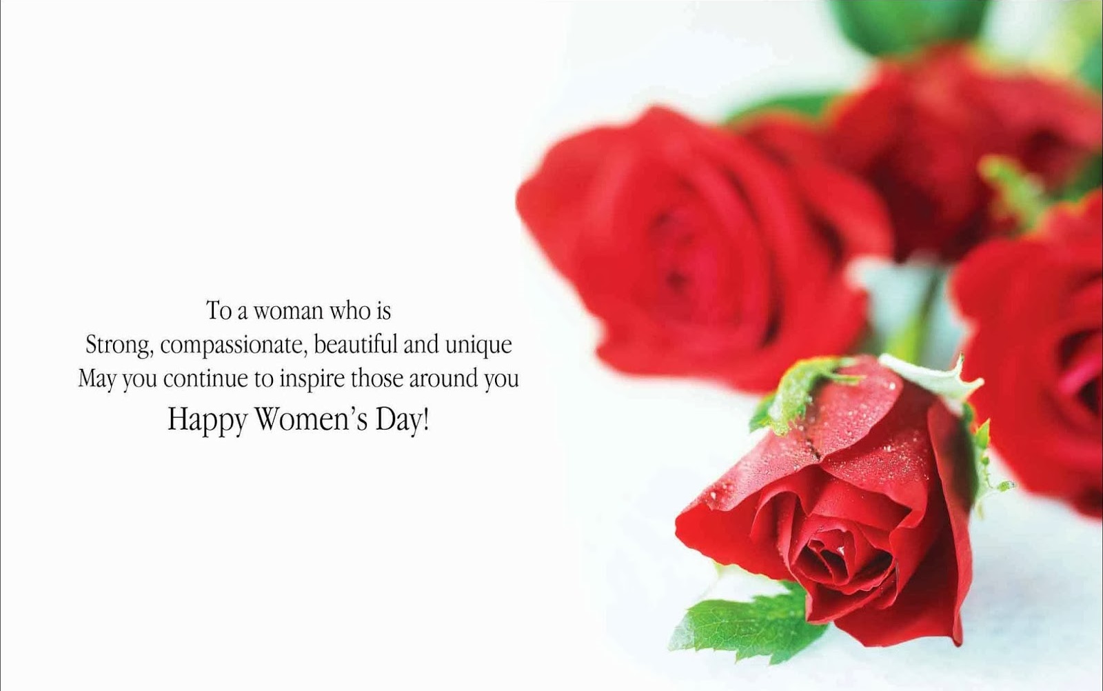 Free download wallpaper Flower, Rose, Holiday, Statement, Women's Day on your PC desktop
