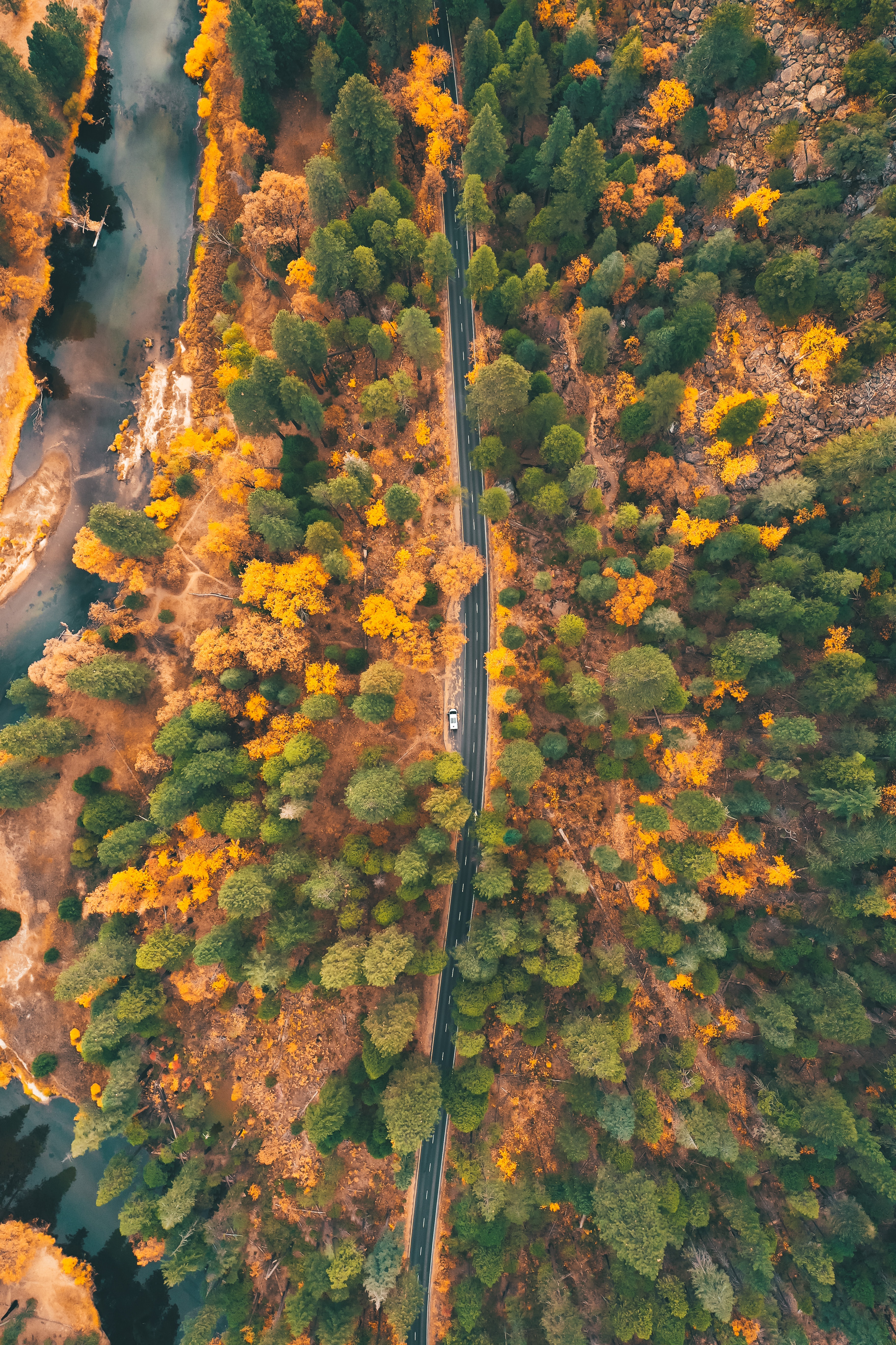 PCデスクトップに自然, 木, 道路, 森林, 森, 上から見る, 道, 秋, 車画像を無料でダウンロード
