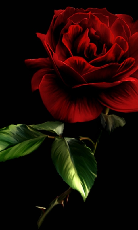 Скачати мобільні шпалери Квітка, Роза, Художній, Червона Троянда безкоштовно.