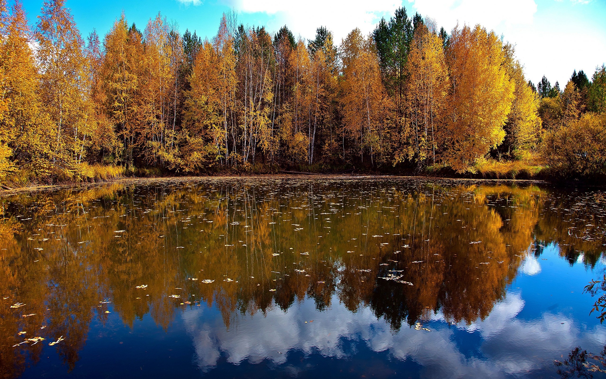 Descarga gratuita de fondo de pantalla para móvil de Otoño, Tierra/naturaleza.