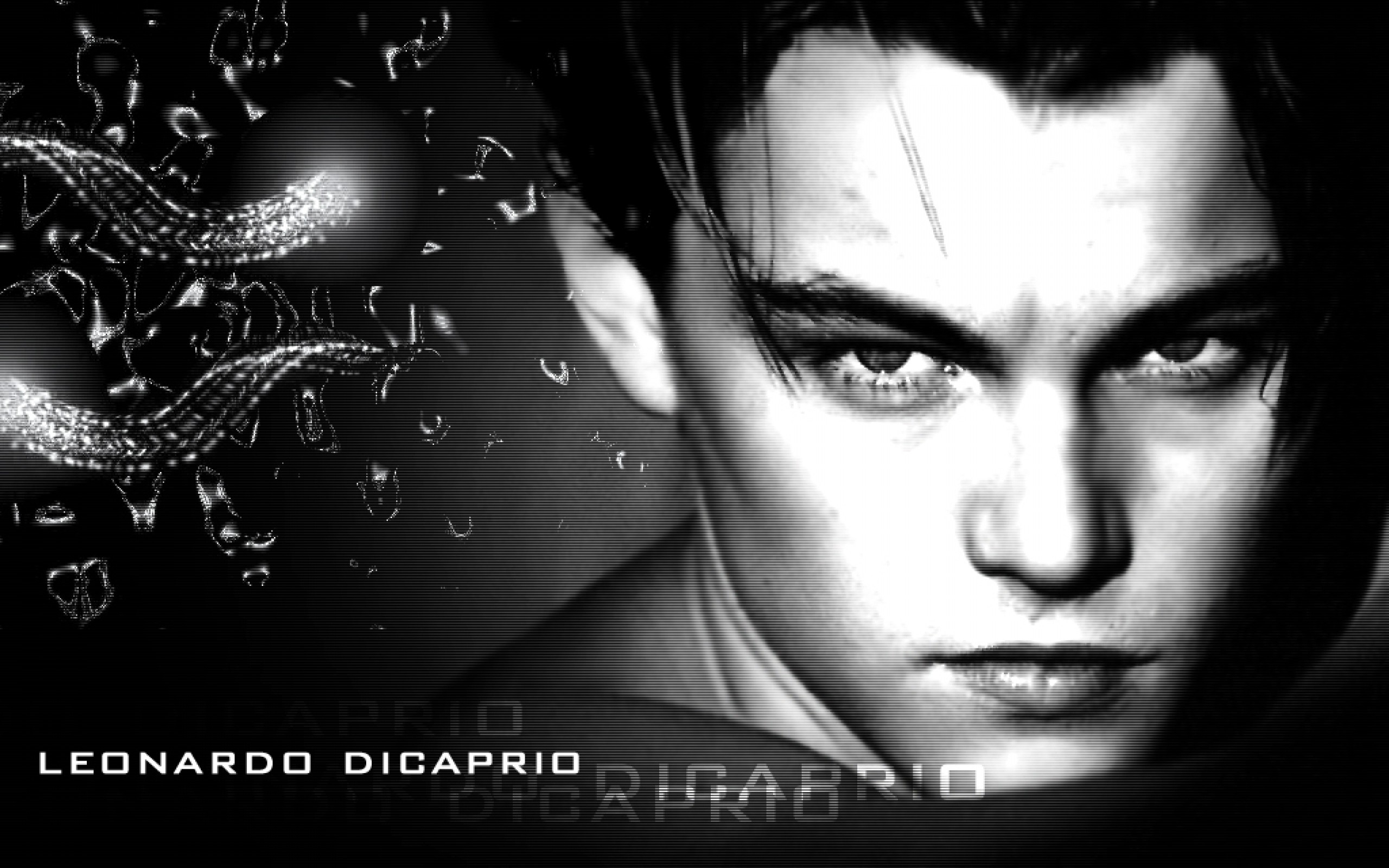 Free download wallpaper Leonardo Dicaprio, American, Celebrity, Actor on your PC desktop