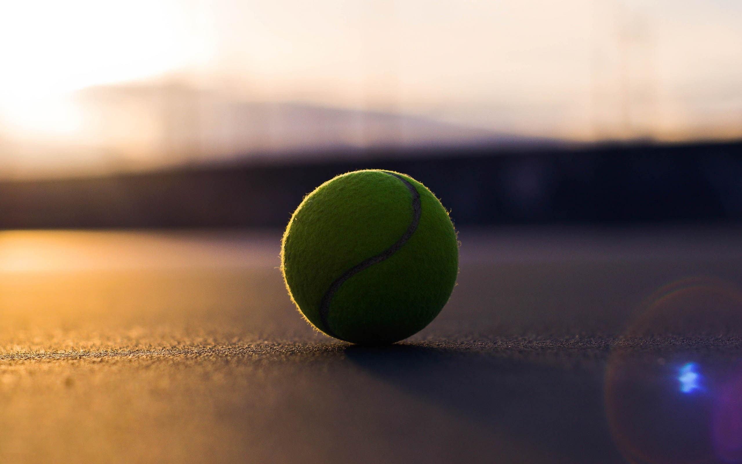 288426 télécharger l'image tennis, des sports - fonds d'écran et économiseurs d'écran gratuits