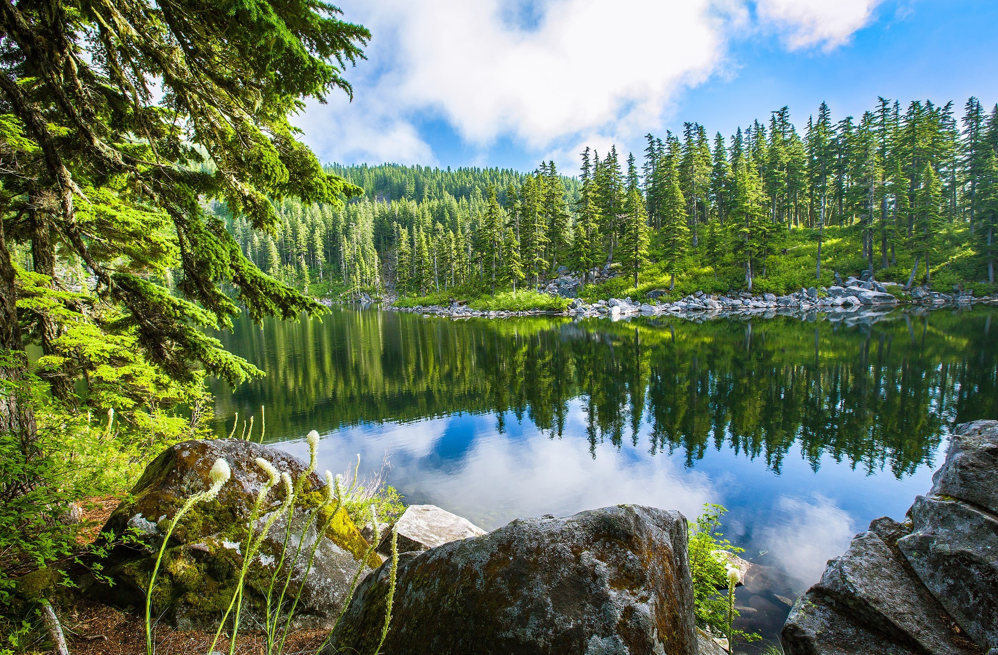 Скачать обои бесплатно Озера, Озеро, Лес, Дерево, Земля/природа картинка на рабочий стол ПК