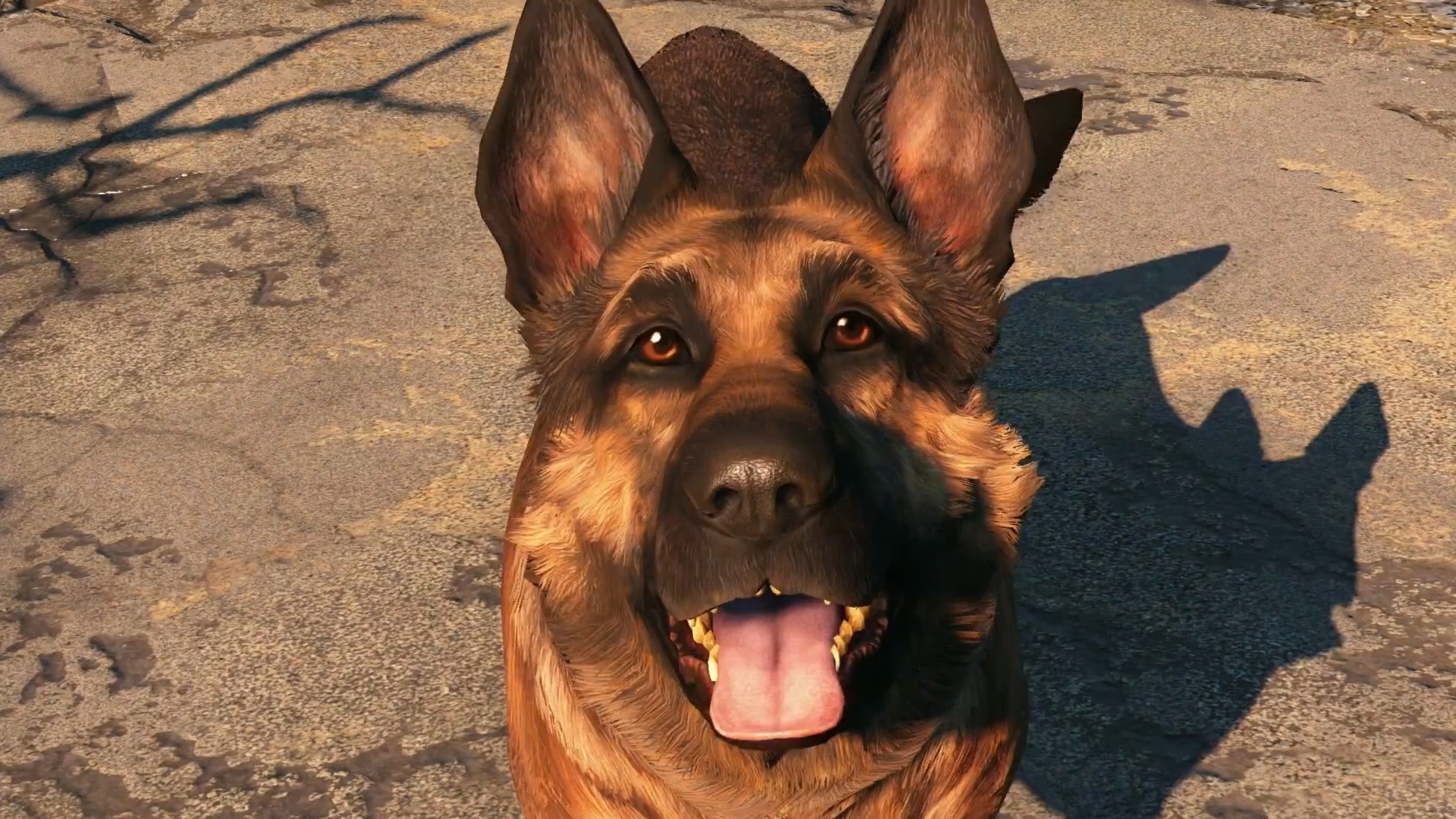 Download mobile wallpaper Fallout, Video Game, Fallout 4, Dogmeat (Fallout) for free.