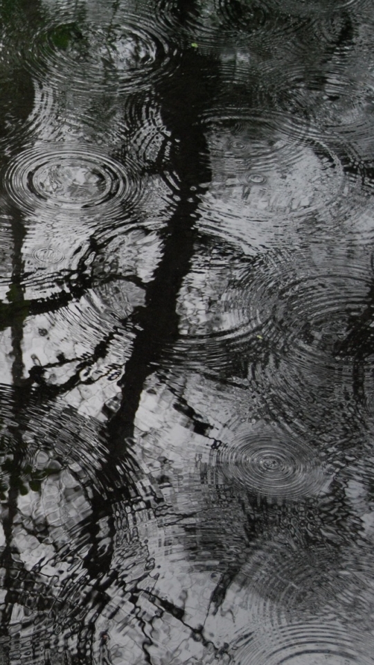 Download mobile wallpaper Rain, Photography, Black & White for free.