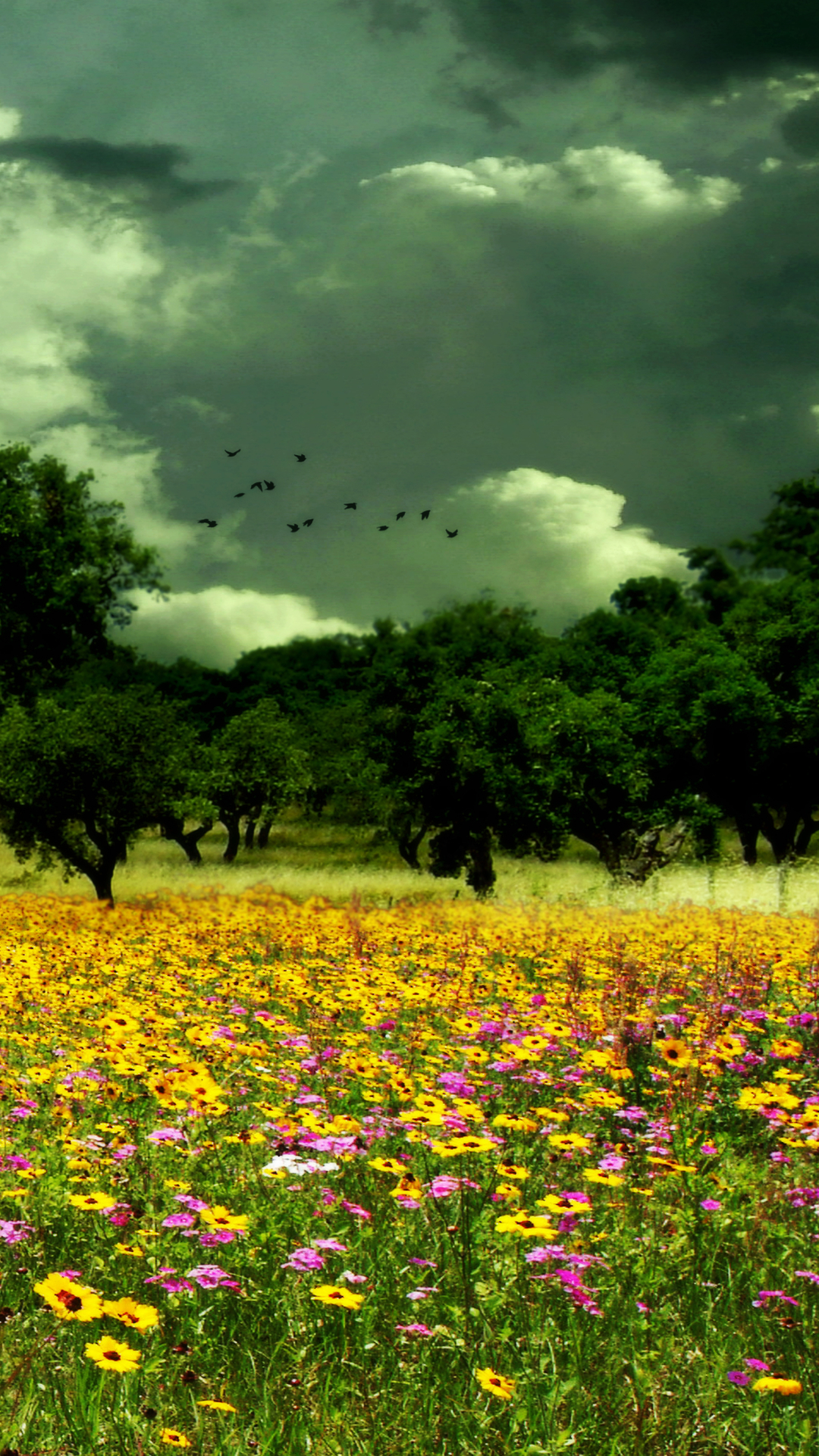 Download mobile wallpaper Flower, Bird, Tree, Earth, Field, Cloud, Meadow for free.